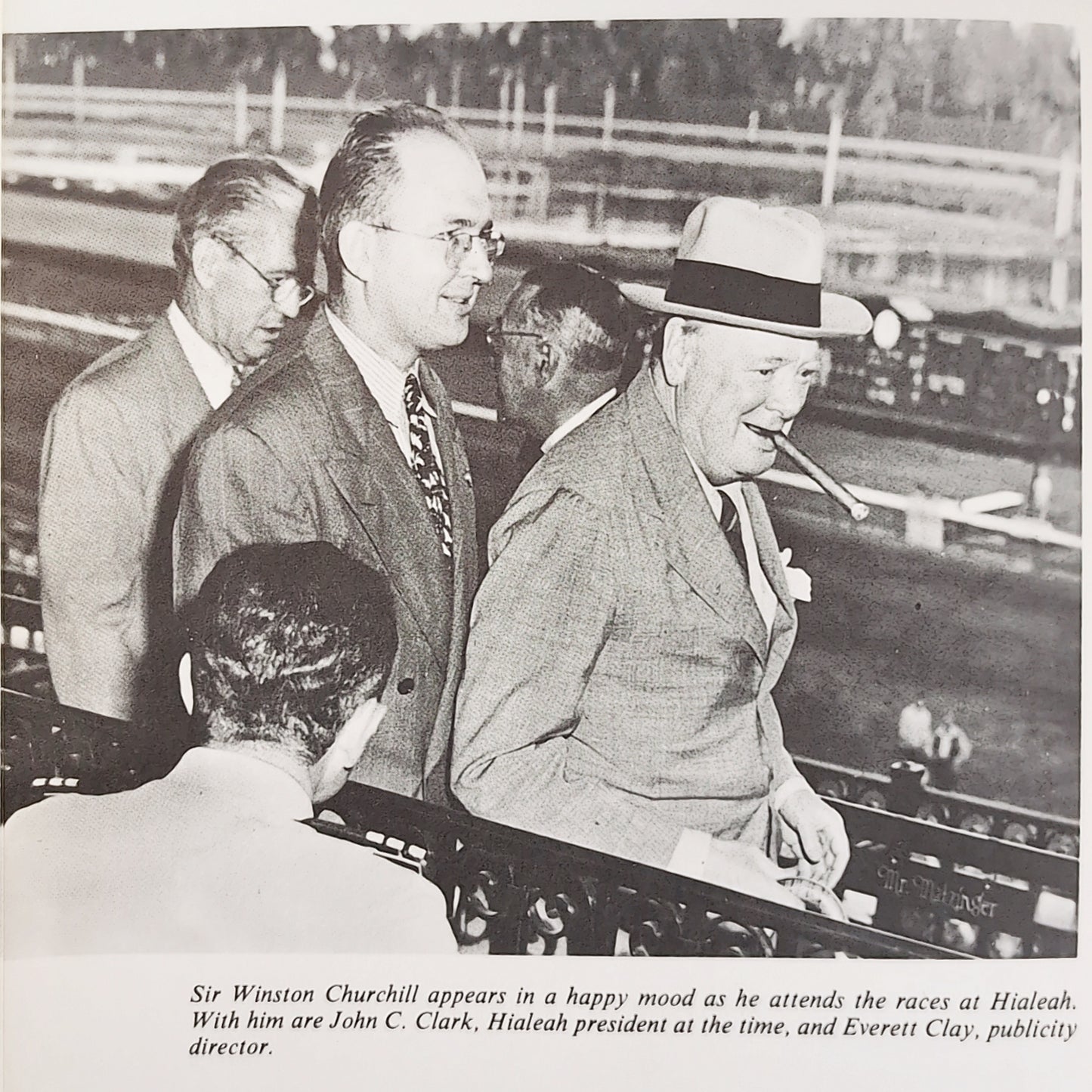 This is Horse Racing