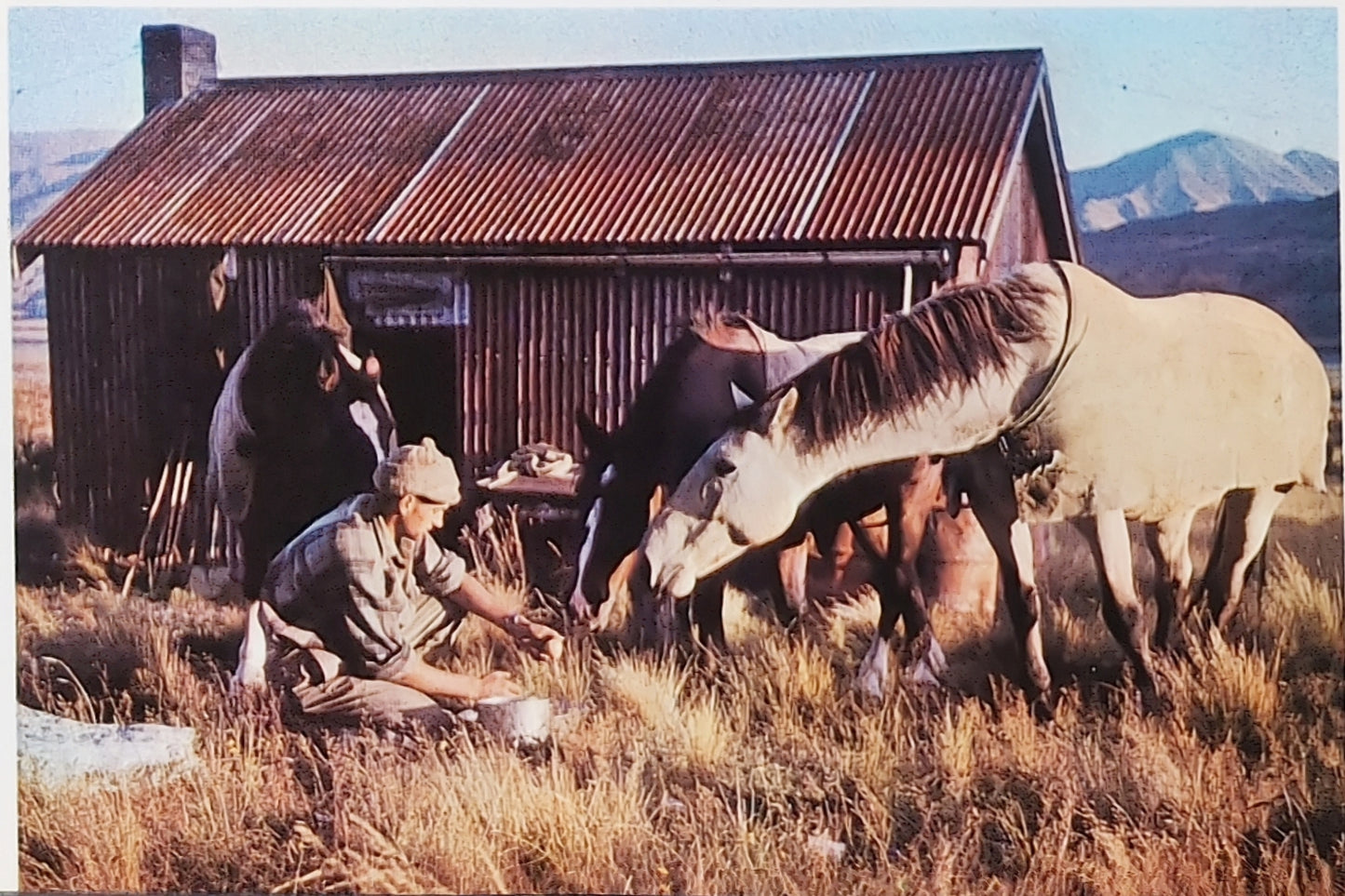 The Wonderful World at my Doorstep