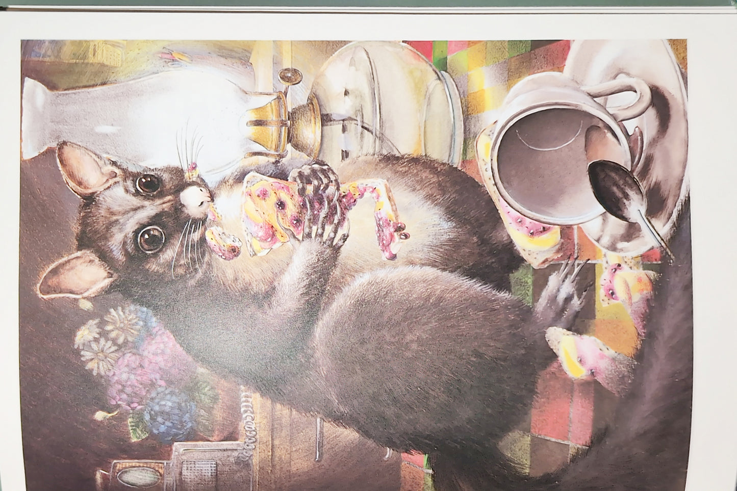 Home is the High Country