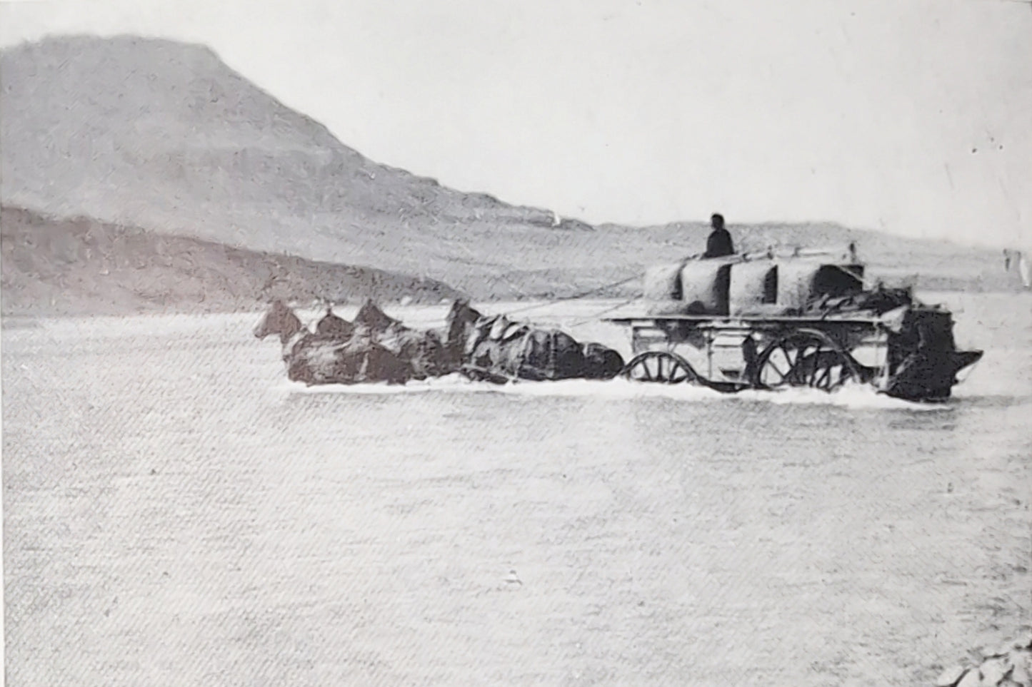 The Good Logs of Algidus