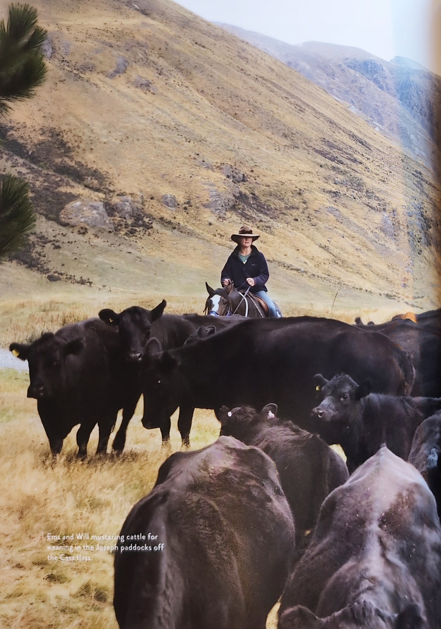 Heart of the Mackenzie