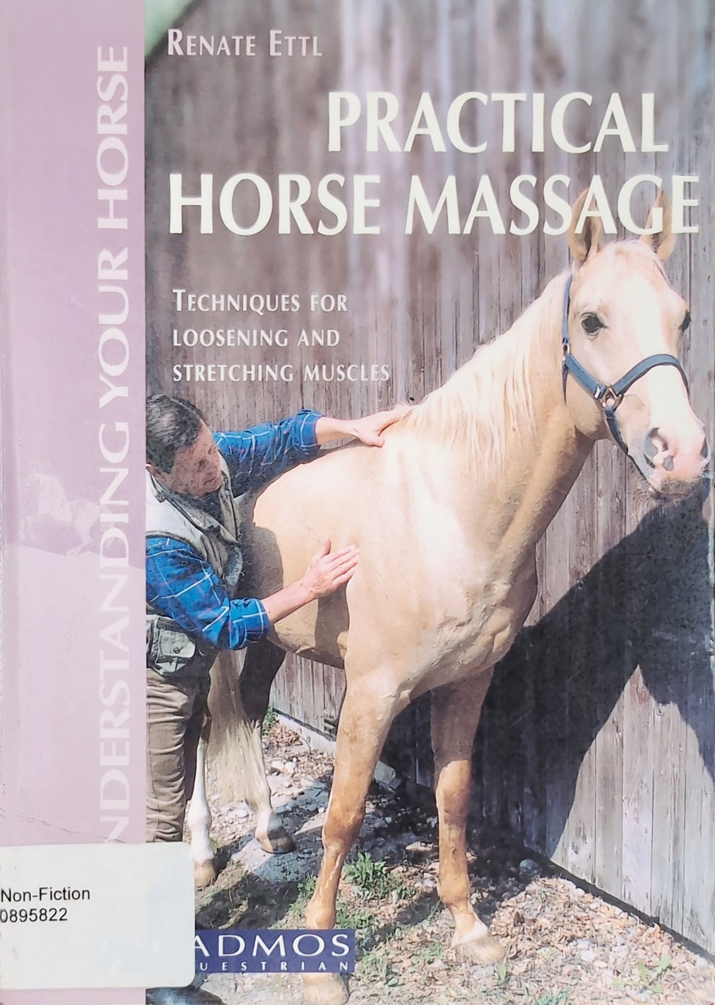 Practical Horse Massage
