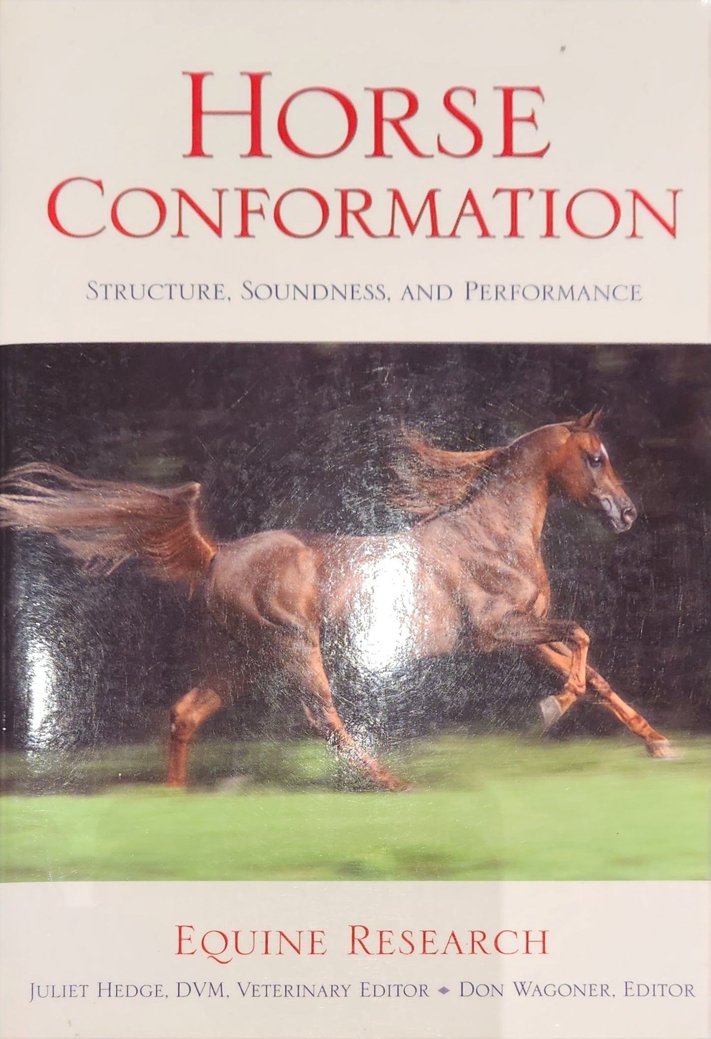 Horse Conformation