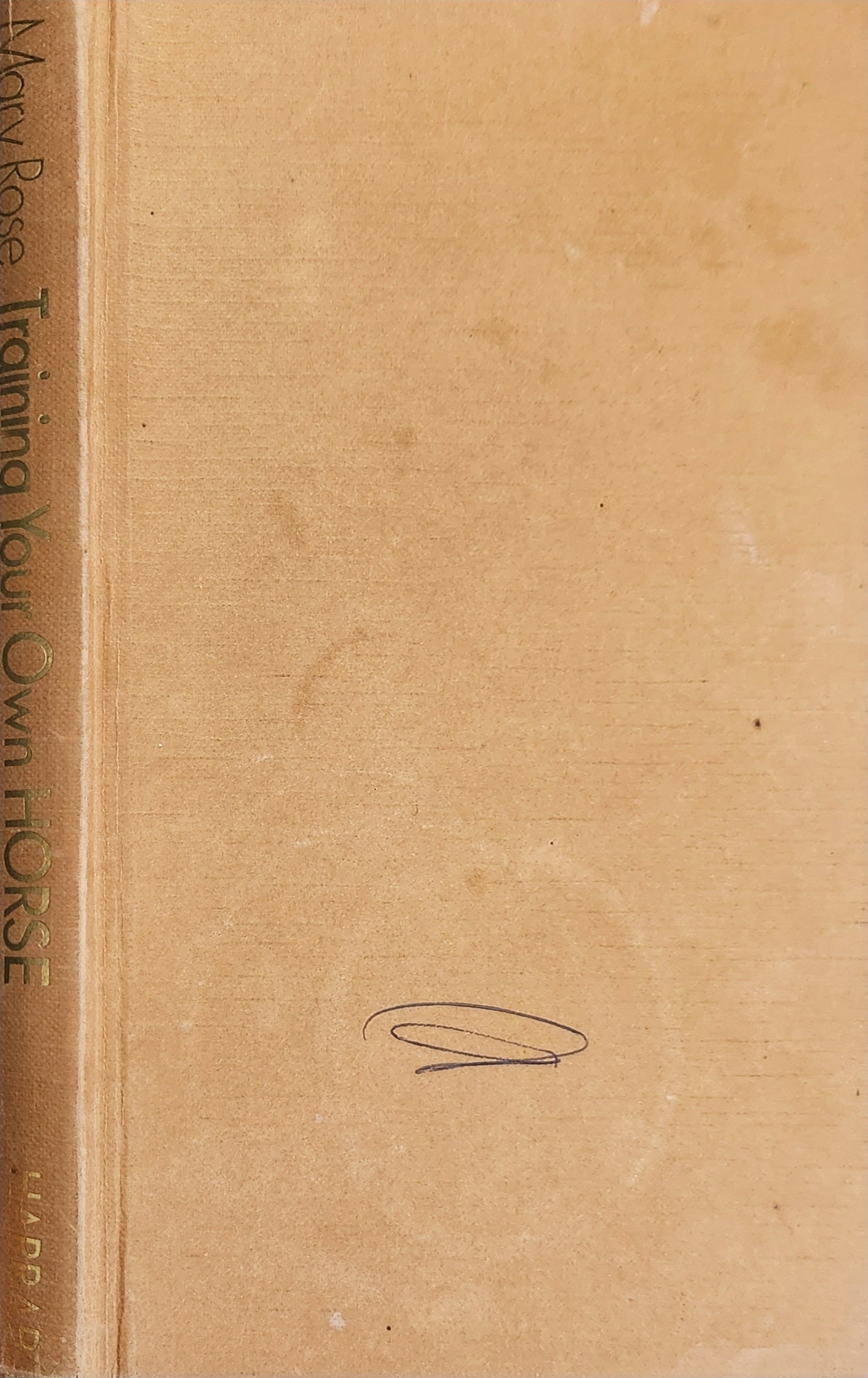 Training your Own Horse