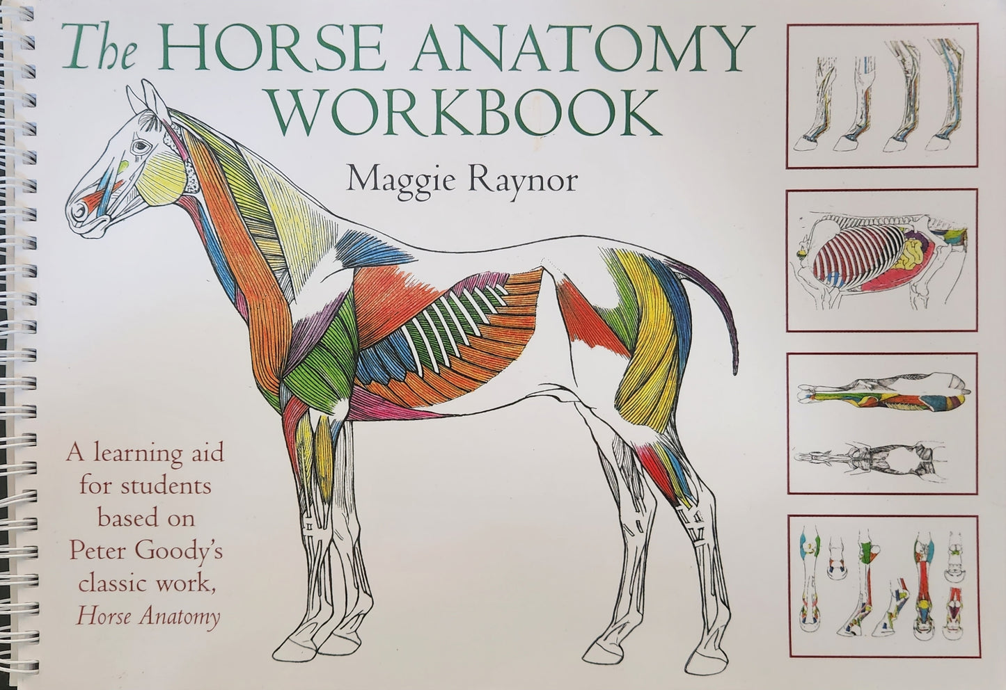 The Horse Anatomy Workbook