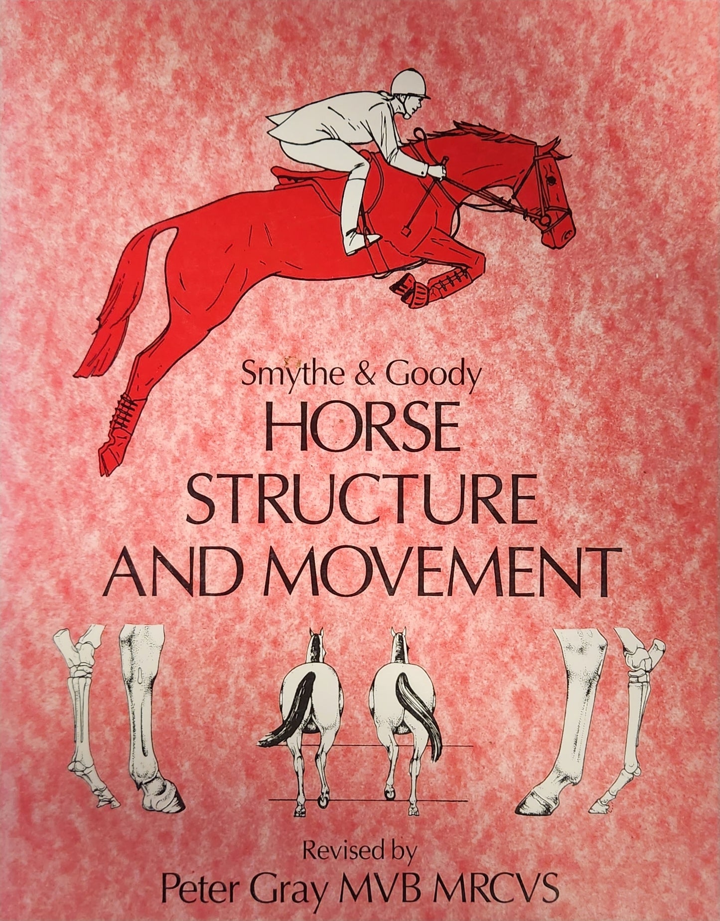 Horse Structure and Movement