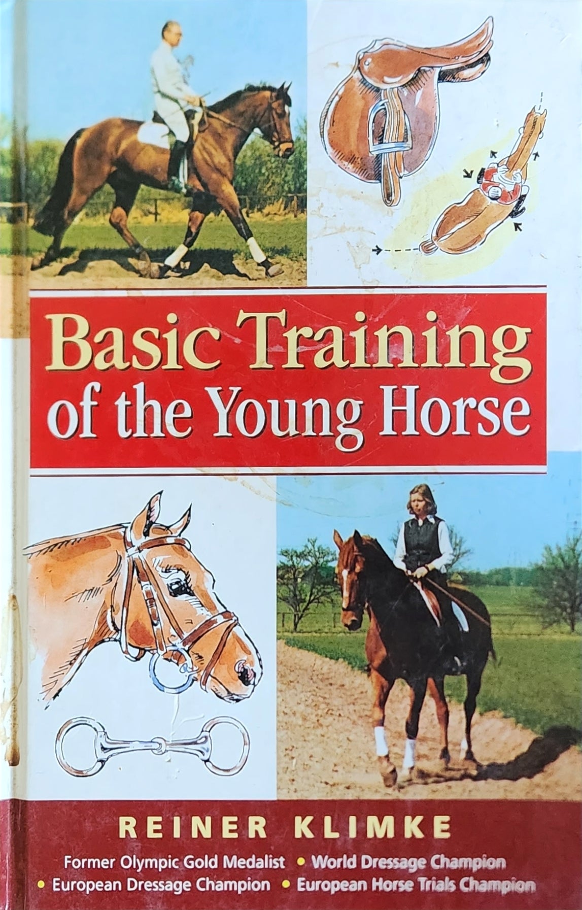 Basic Training of the Young Horse