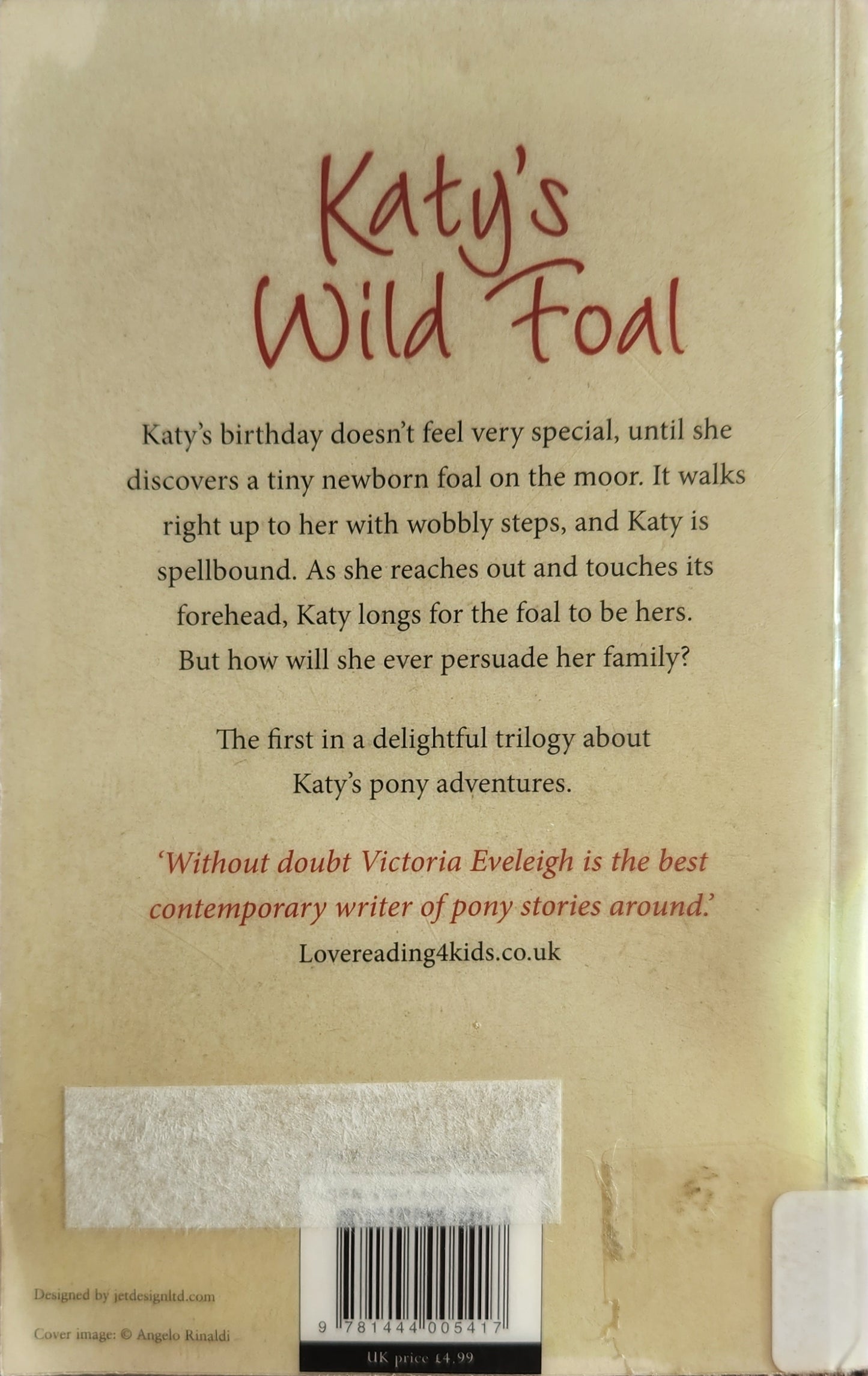 Katy's Wild Foal