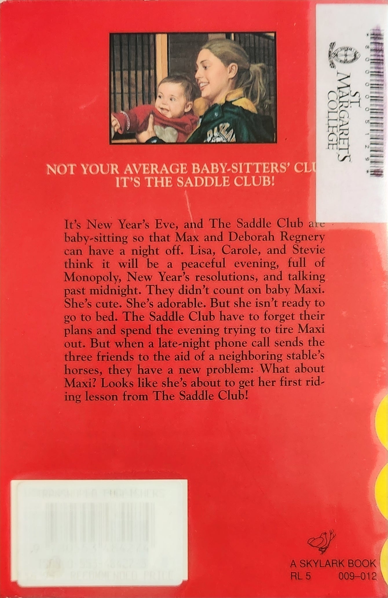 Saddle Club: Holiday Horse