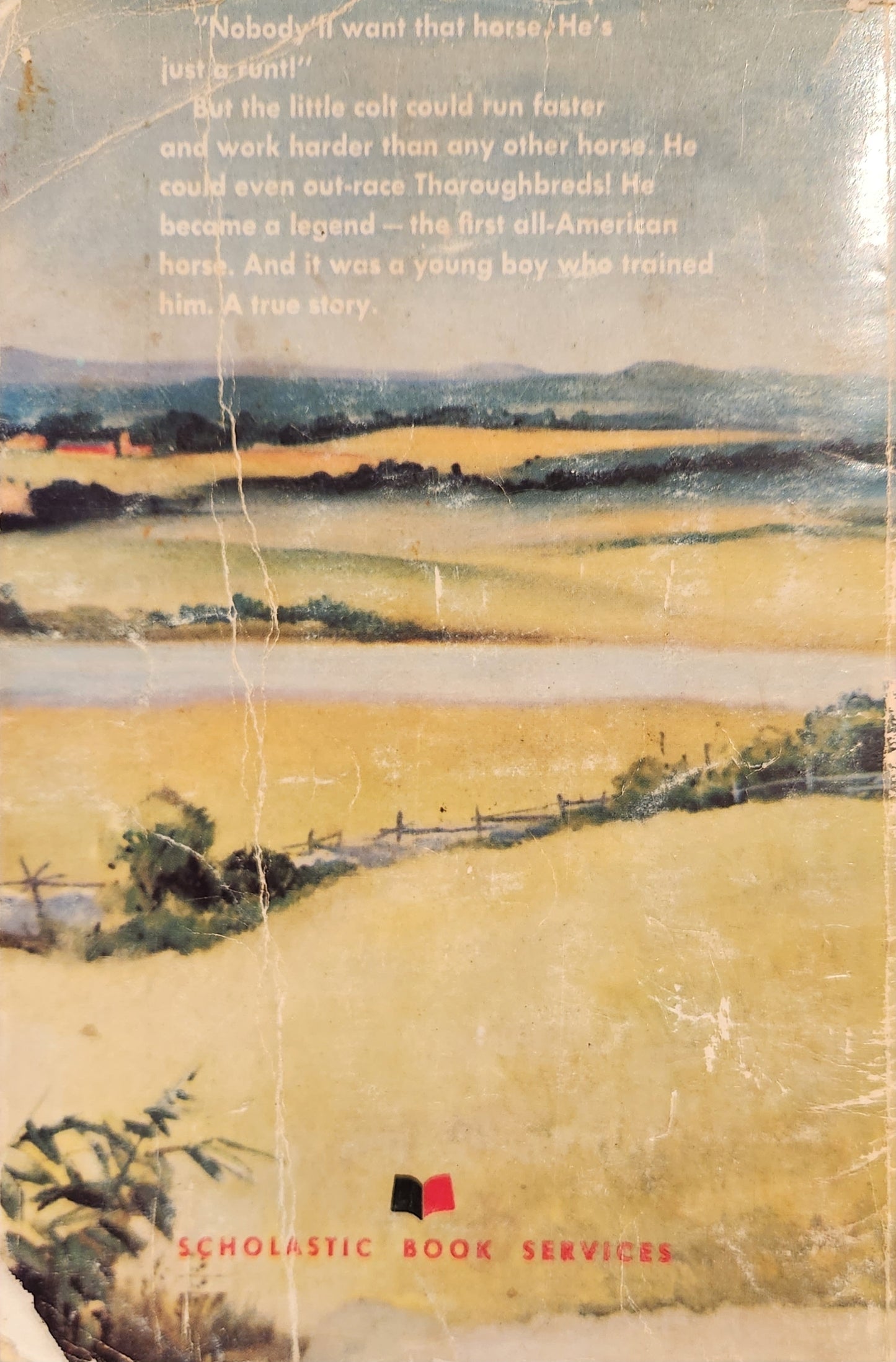 Justin Morgan Had a Horse