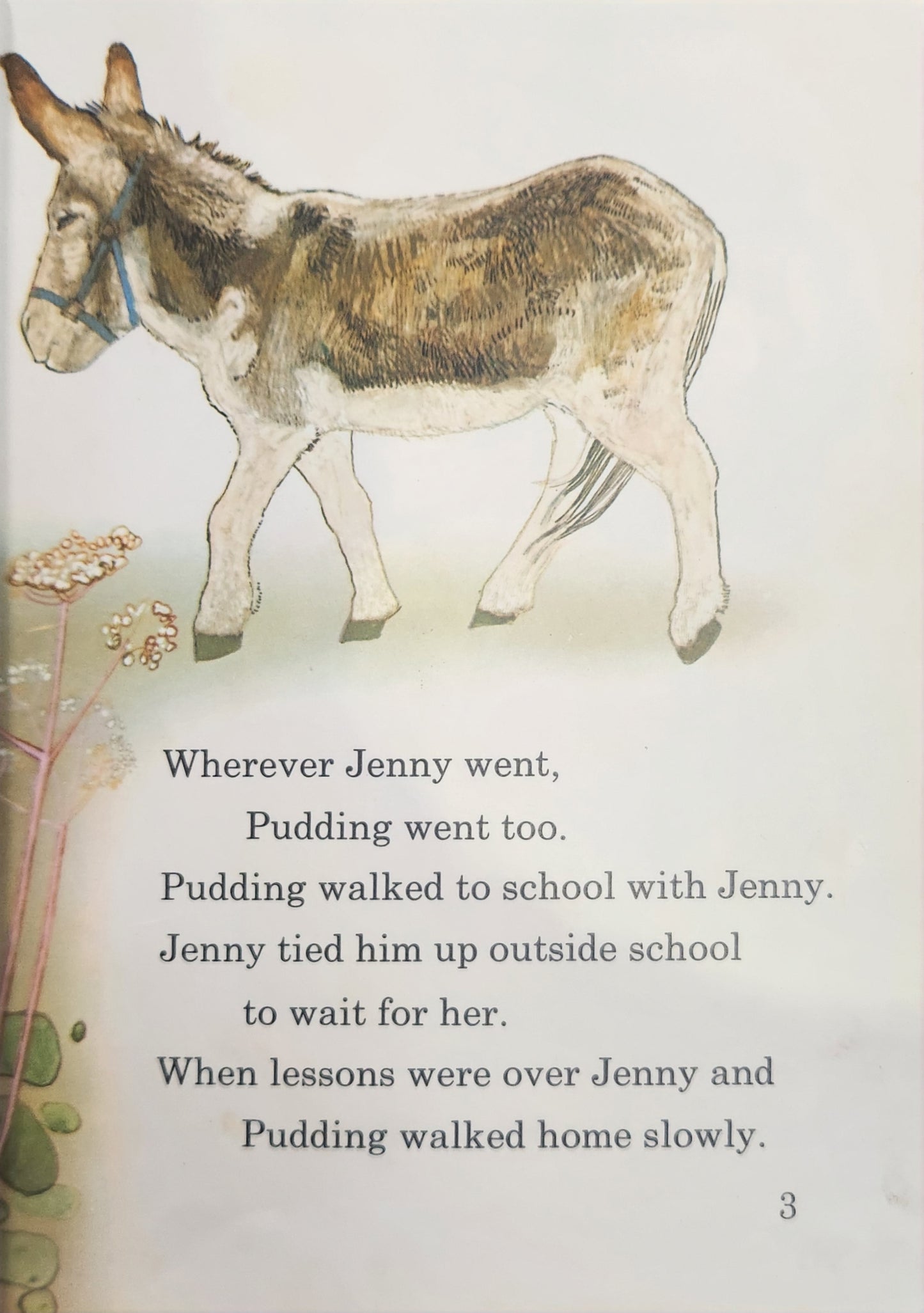 Jenny Hopalong