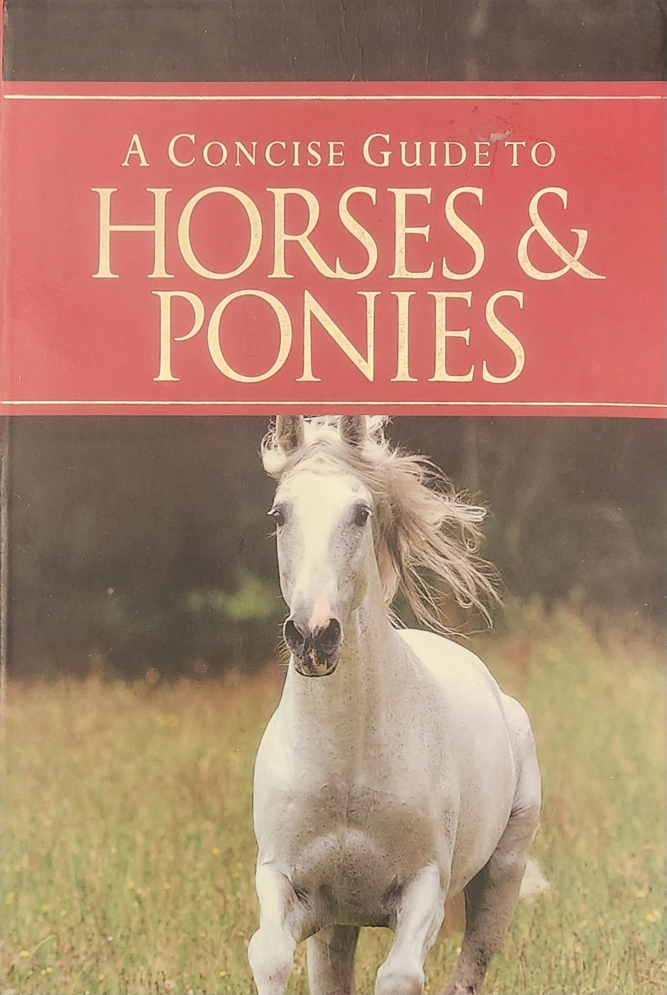 A Concise Guide to Horses & Ponies
