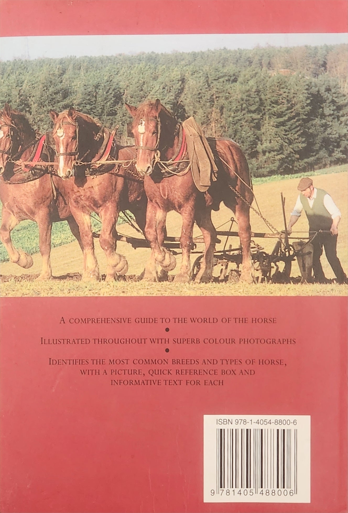 A Concise Guide to Horses & Ponies