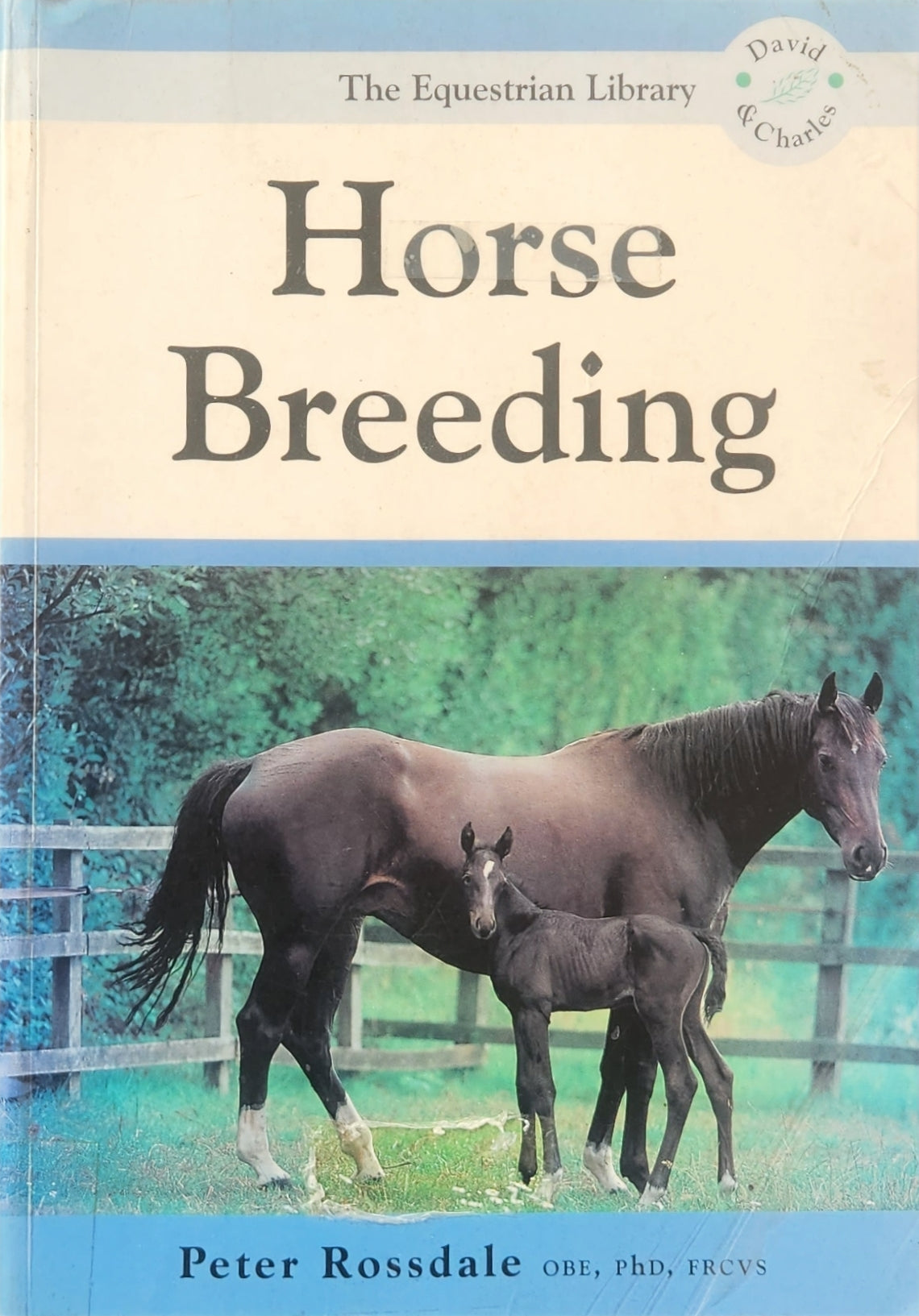 Horse Breeding