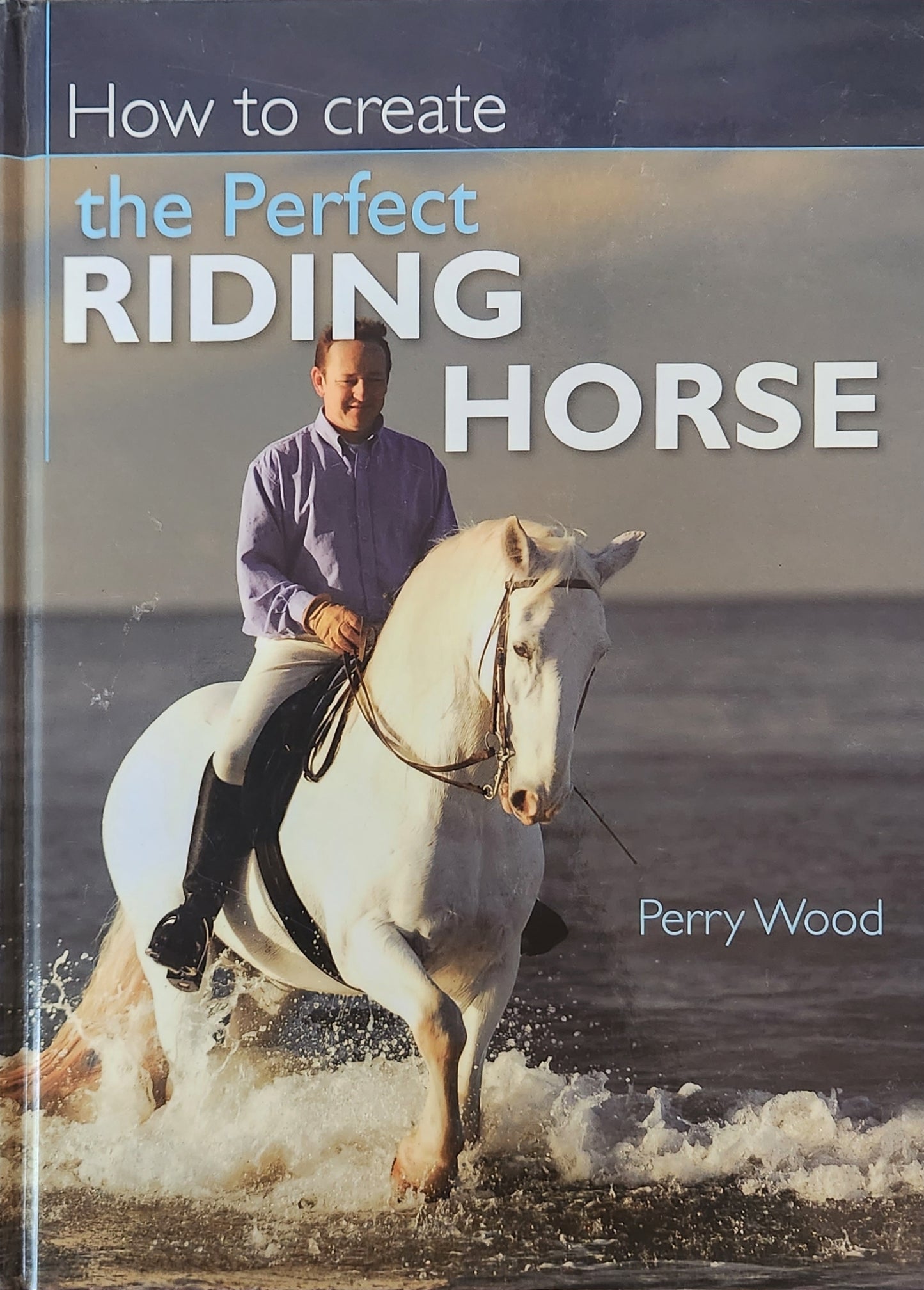 How to create the Perfect Riding Horse
