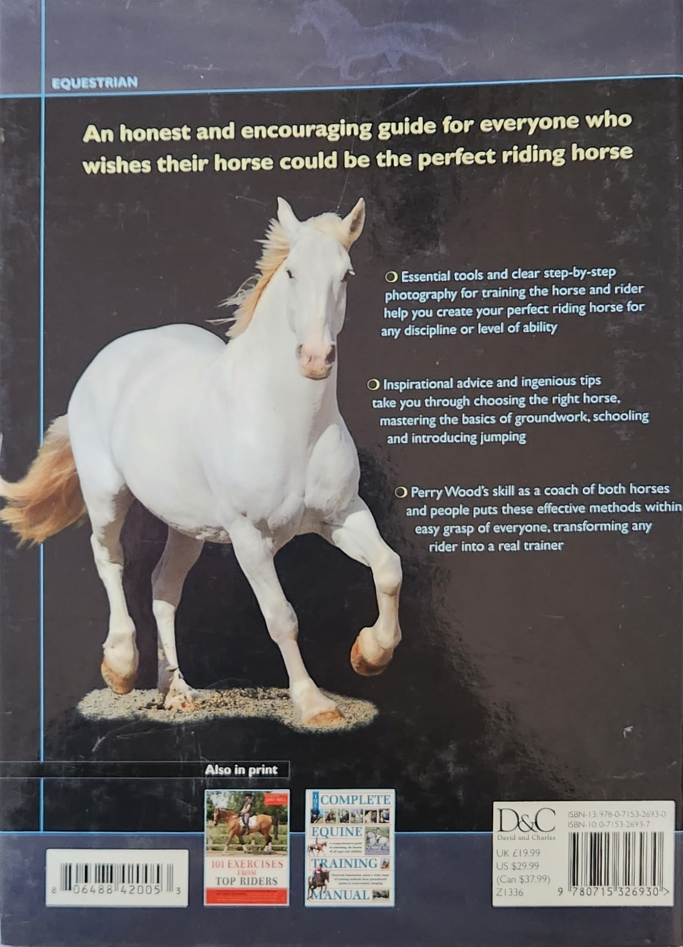 How to create the Perfect Riding Horse