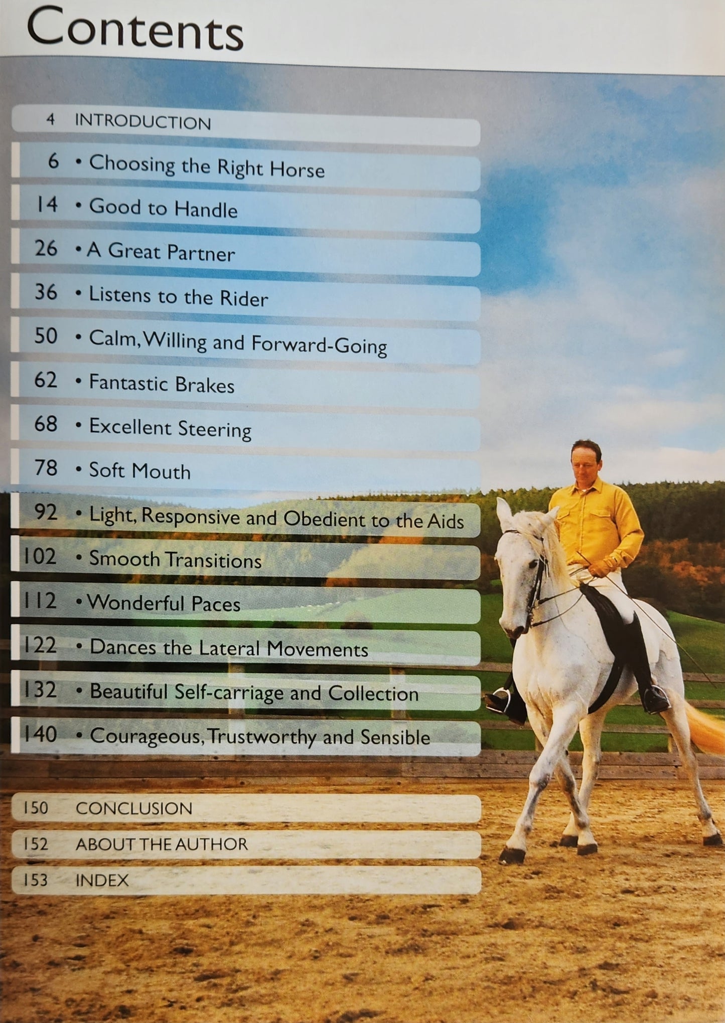 How to create the Perfect Riding Horse