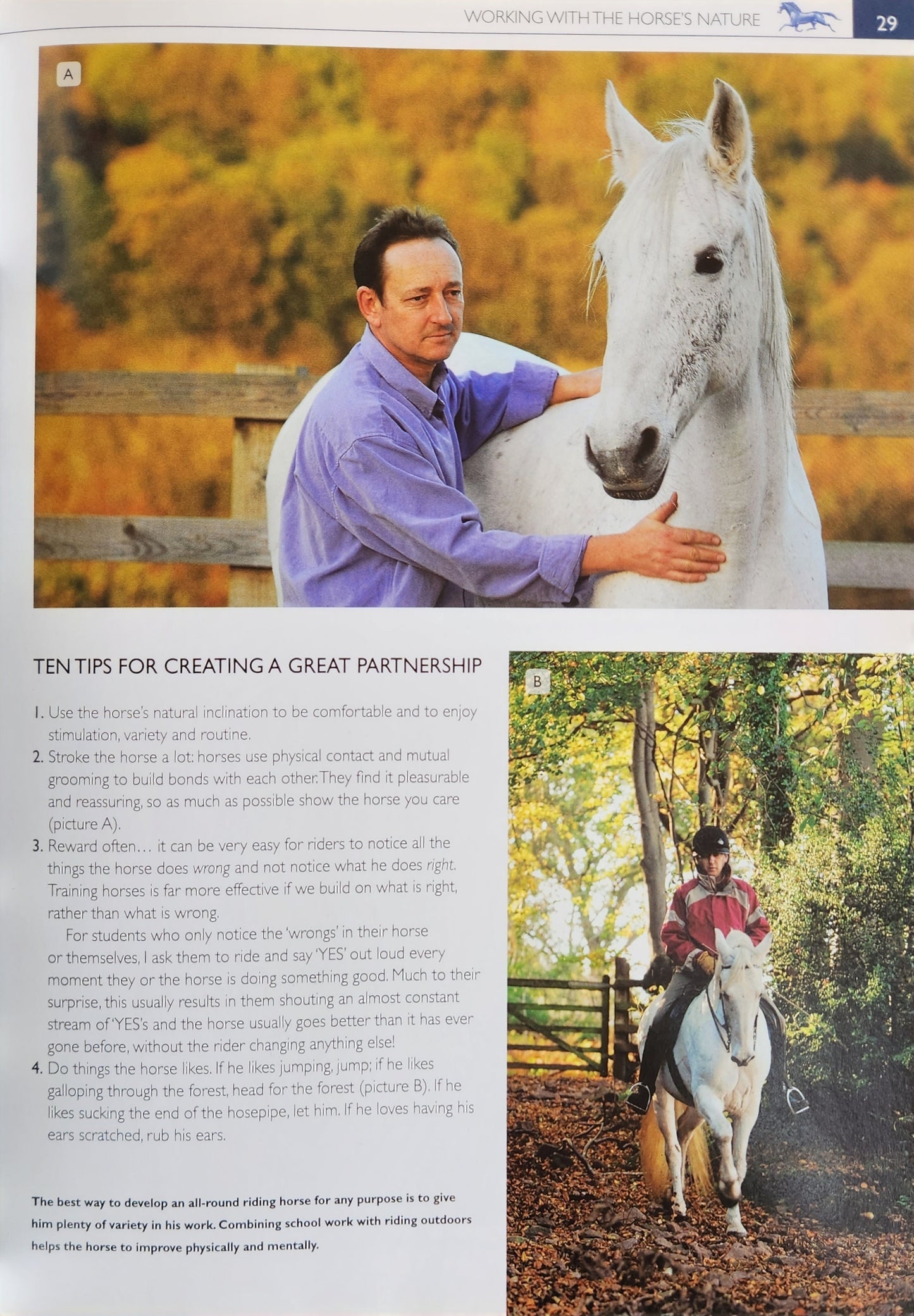 How to create the Perfect Riding Horse