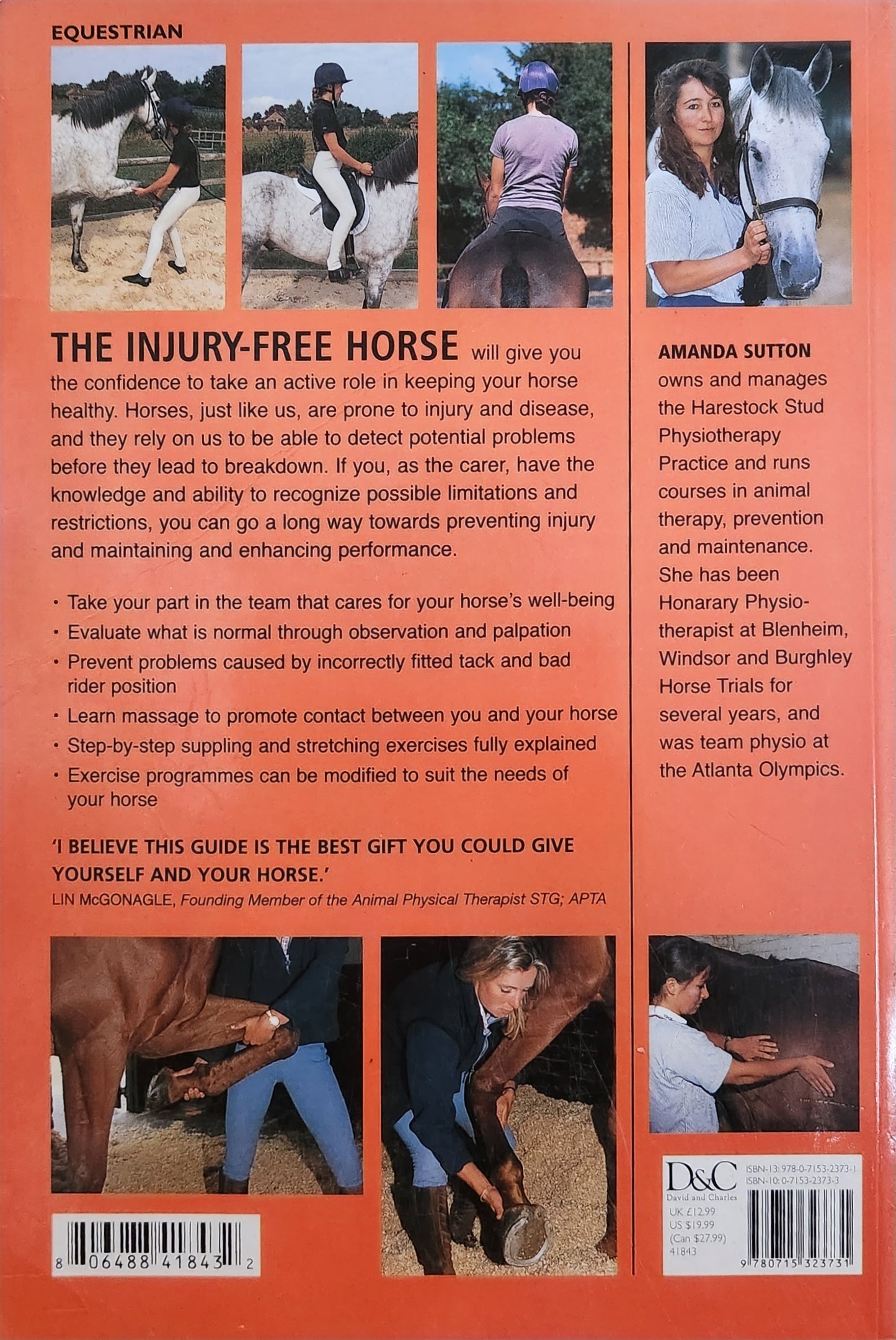 The Injury-Free Horse