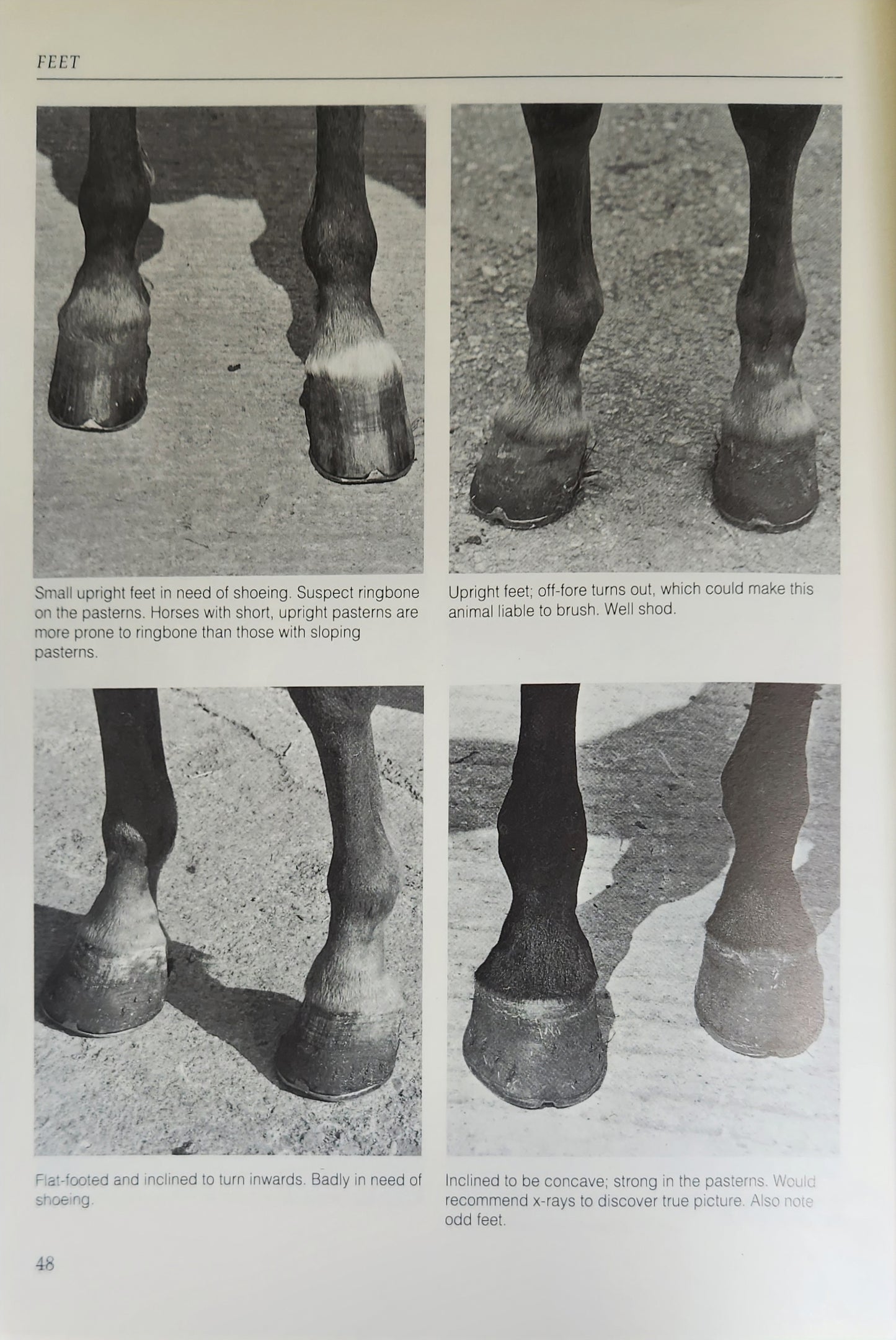 A Photographic Guide to Conformation