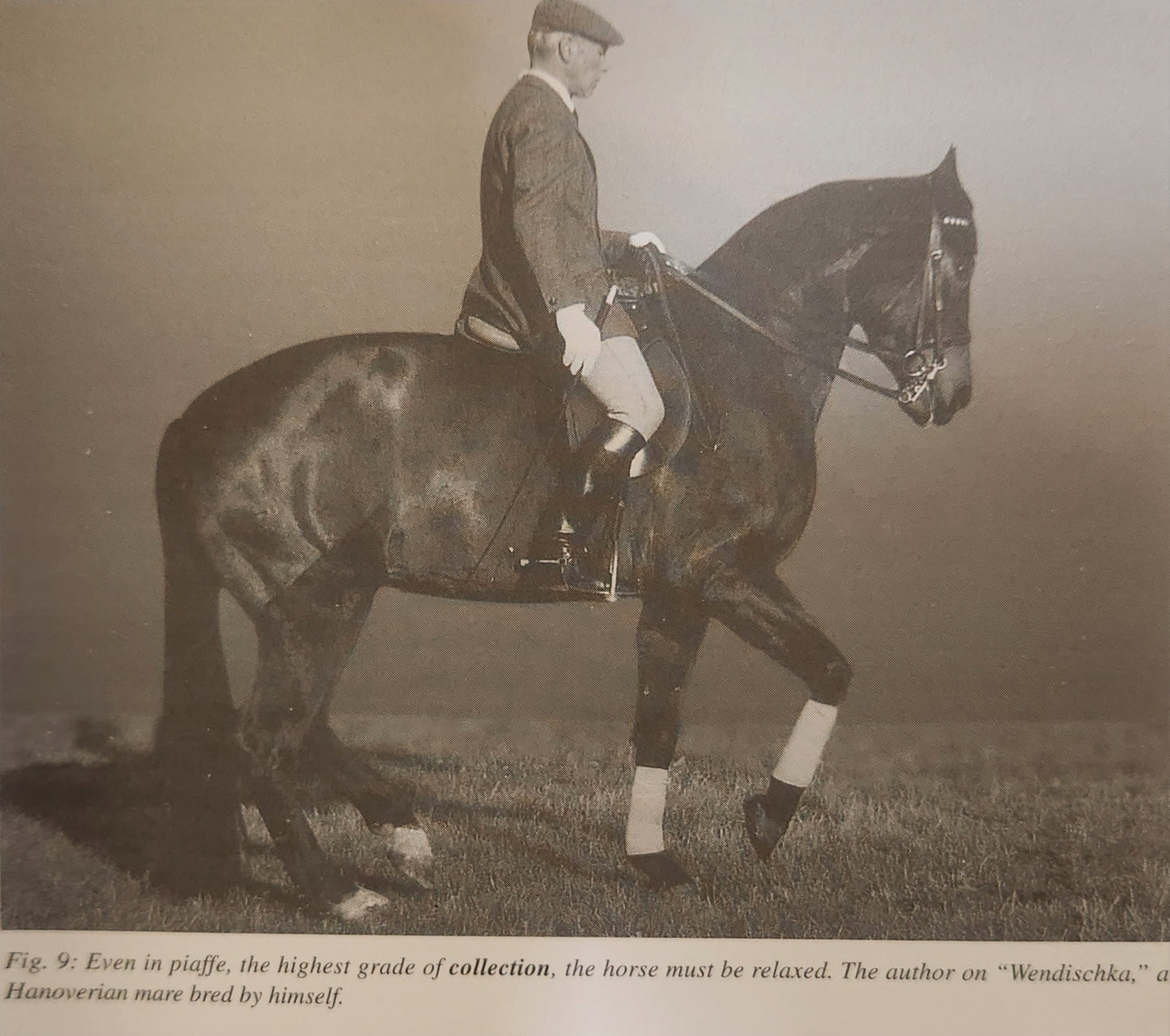 The Elements of Dressage