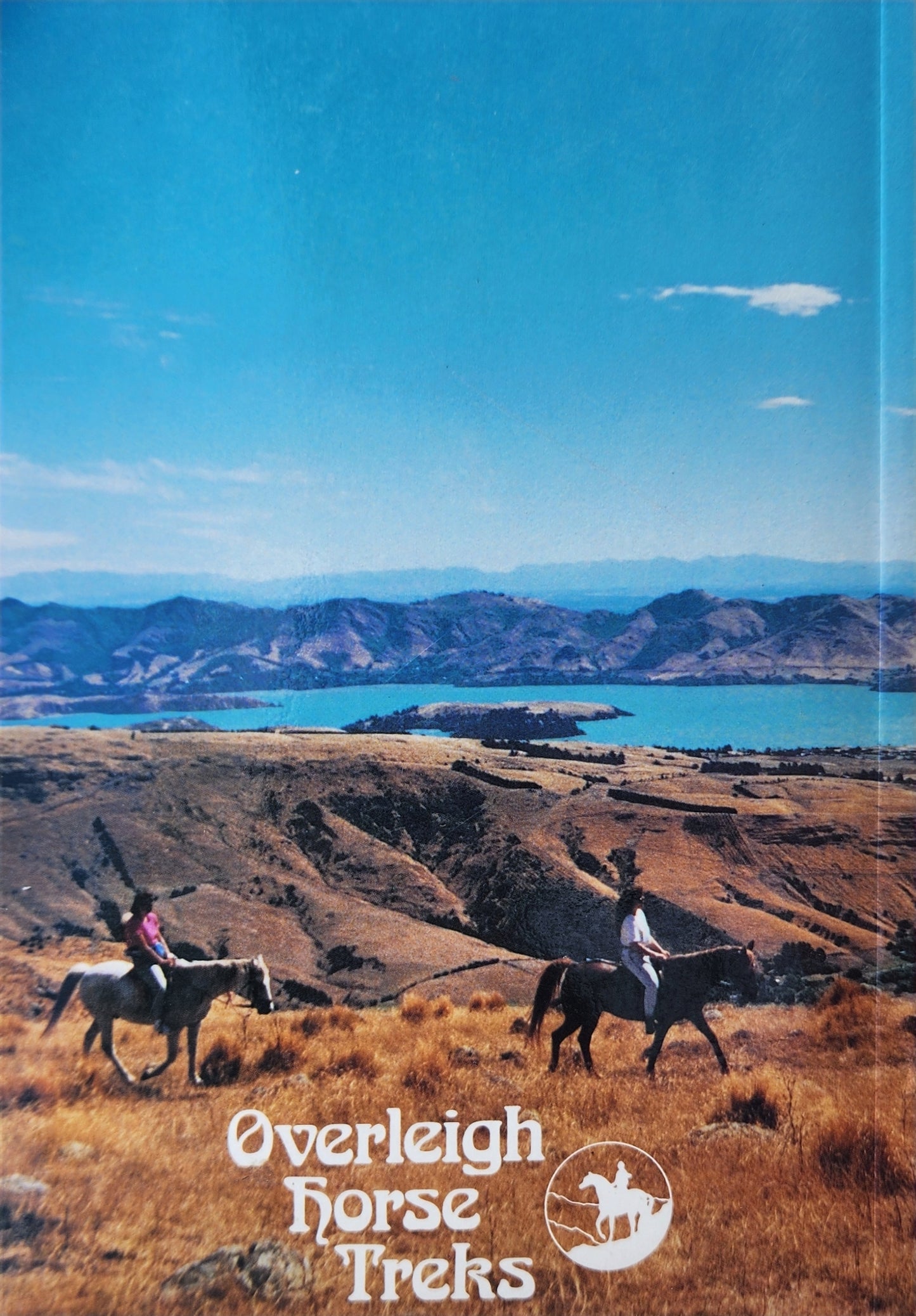 The View from the Saddle