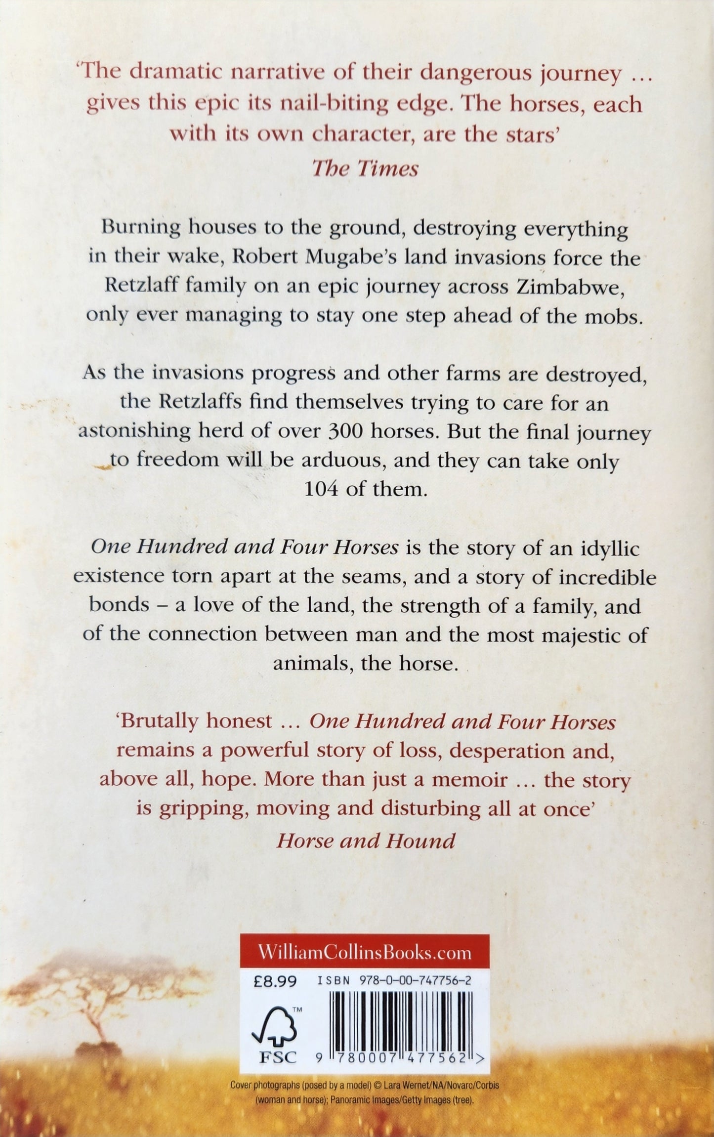 One Hundred and Four Horses