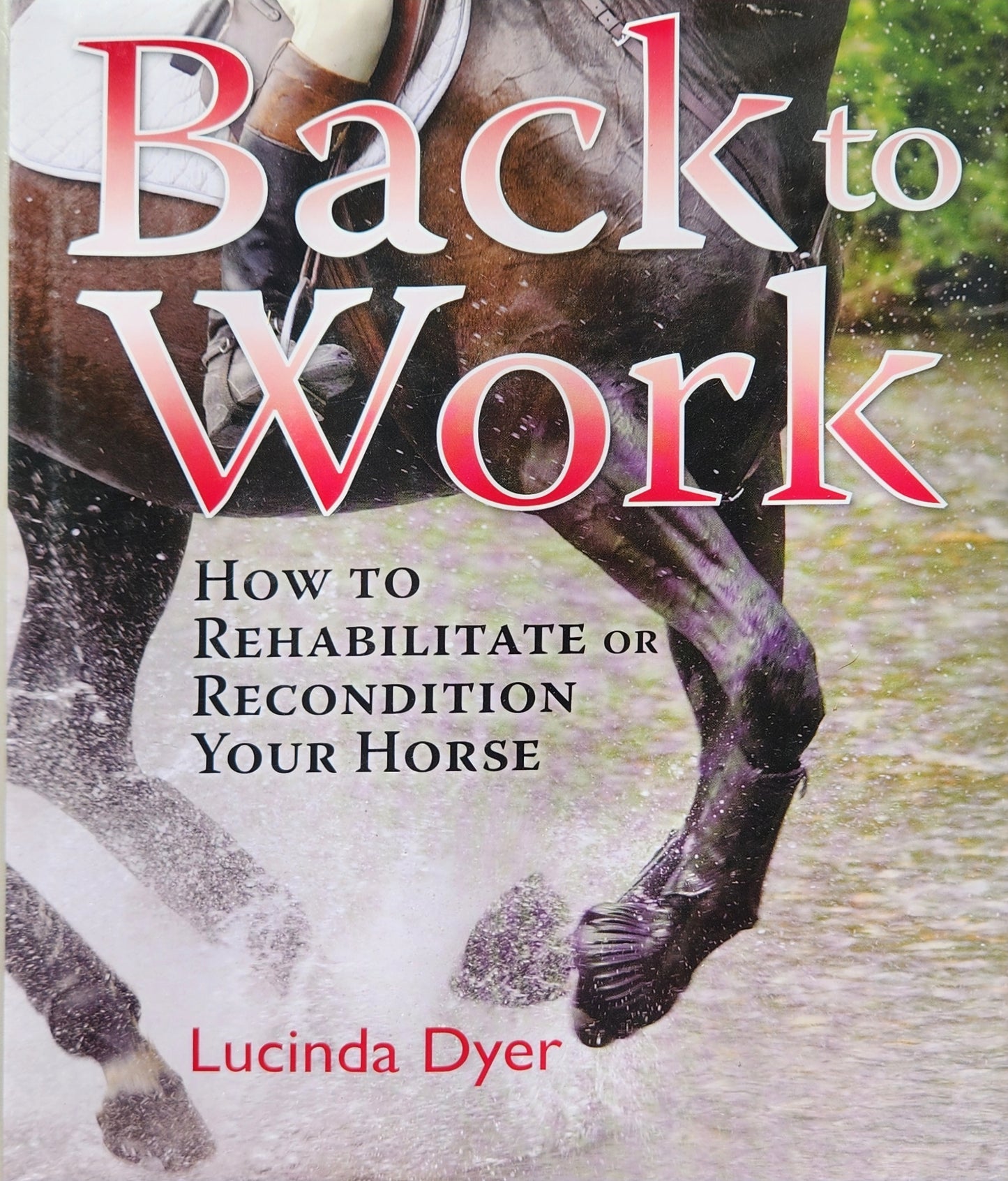 Back to Work