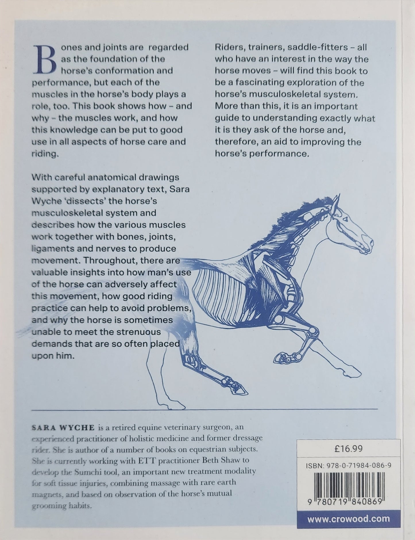 The Horse's Muscles in Motion