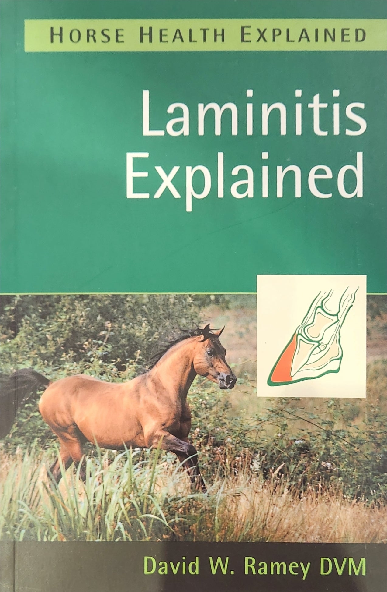 Laminitis Explained (secondhand)