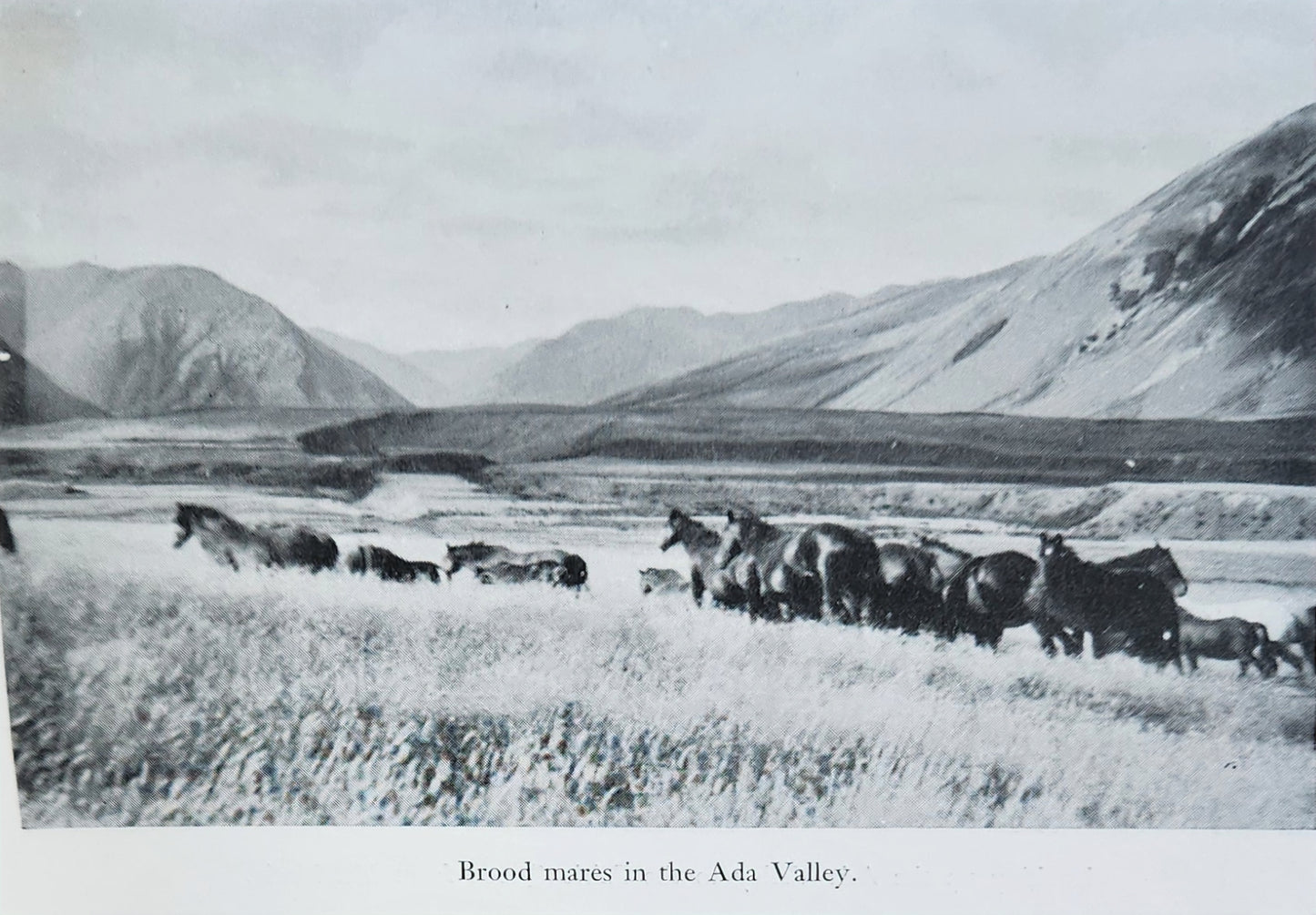 High Country Journey