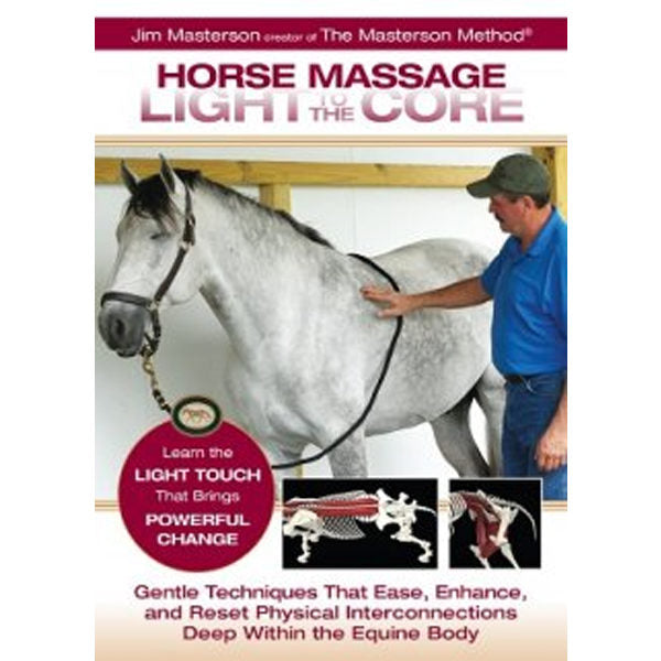Horse Massage Light to the Core