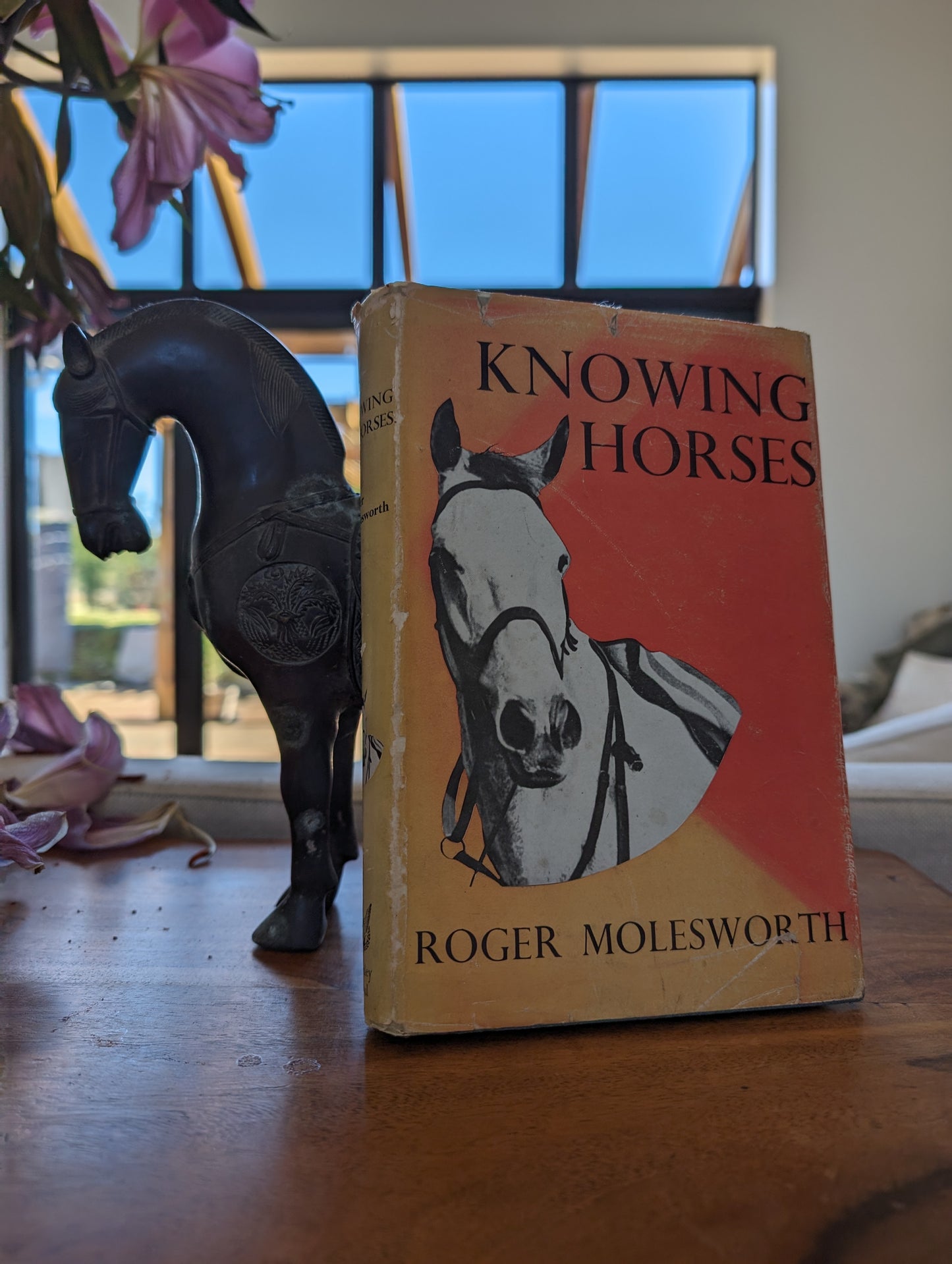Knowing Horses