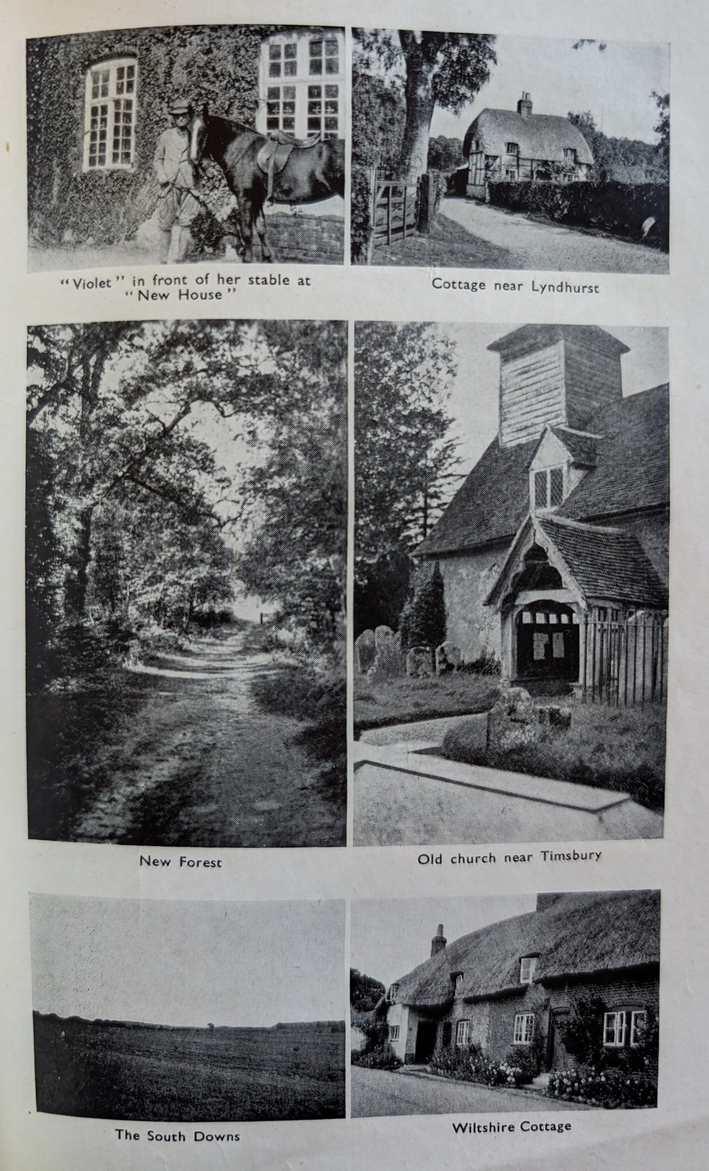 Bridle Paths