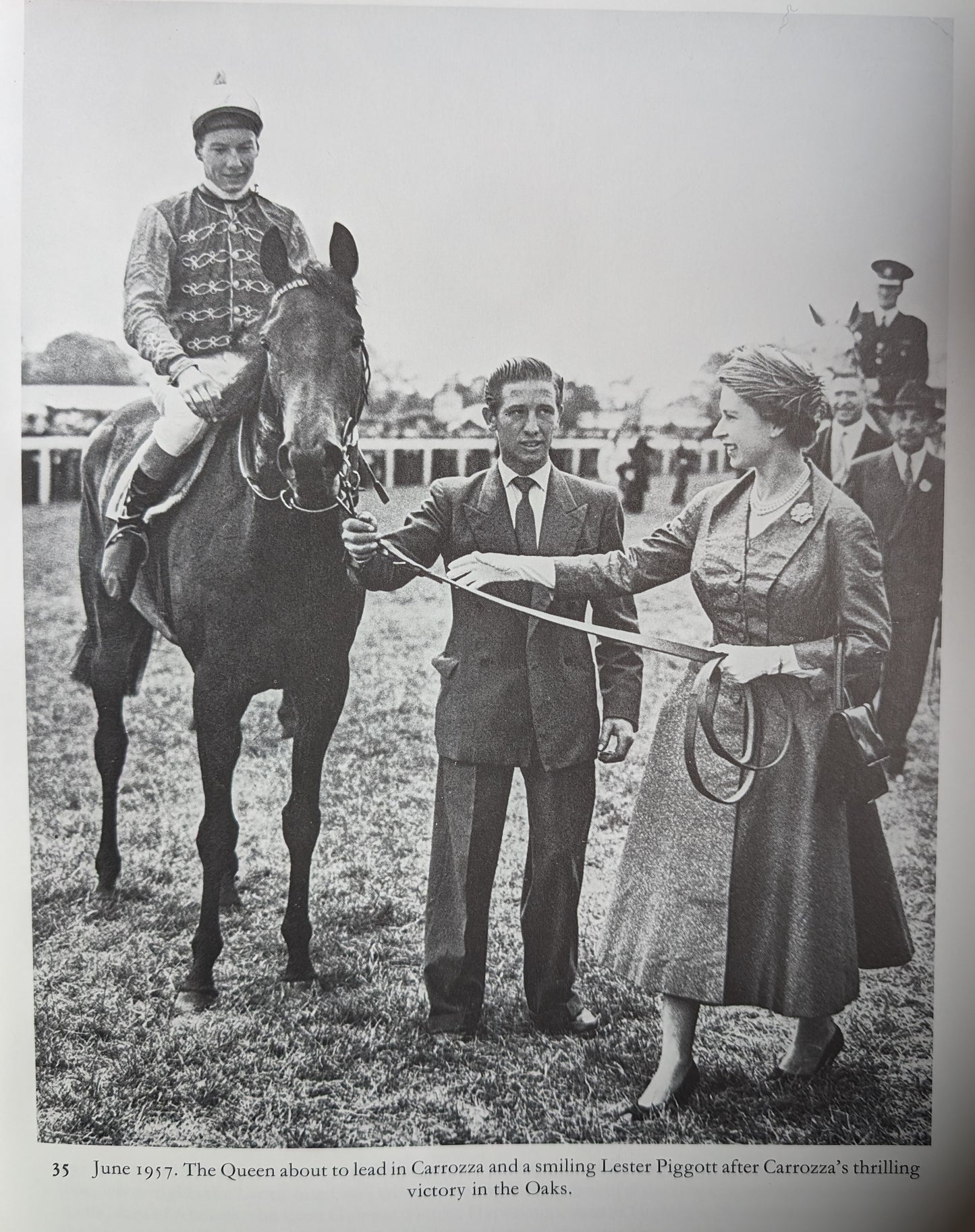 All the Queen's Horses