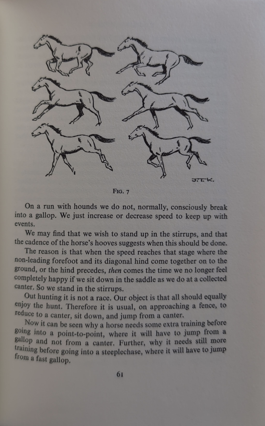 Knowing Horses