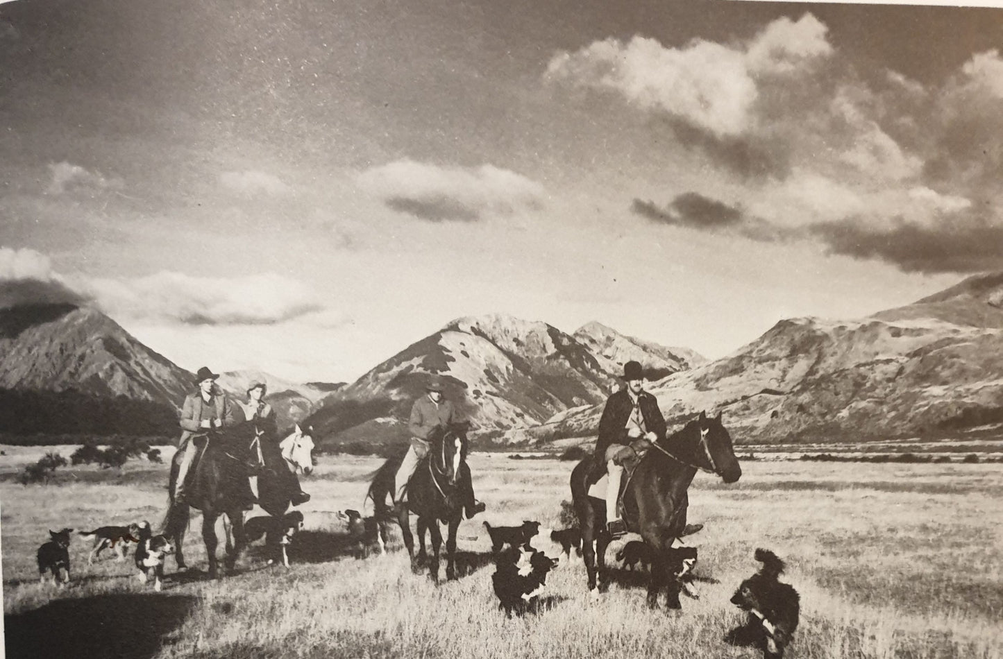 The Farming Of New Zealand