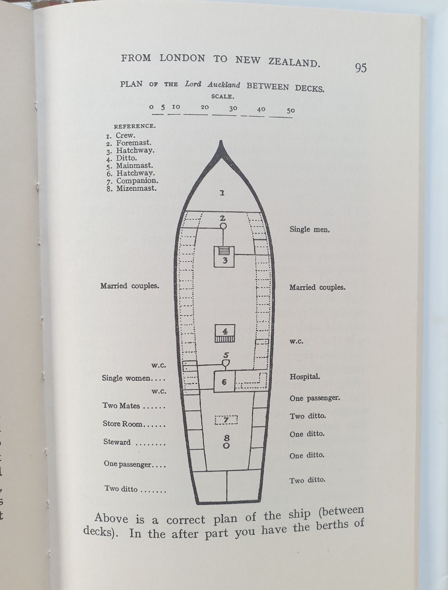 A Colonist's Voyage To New Zealand