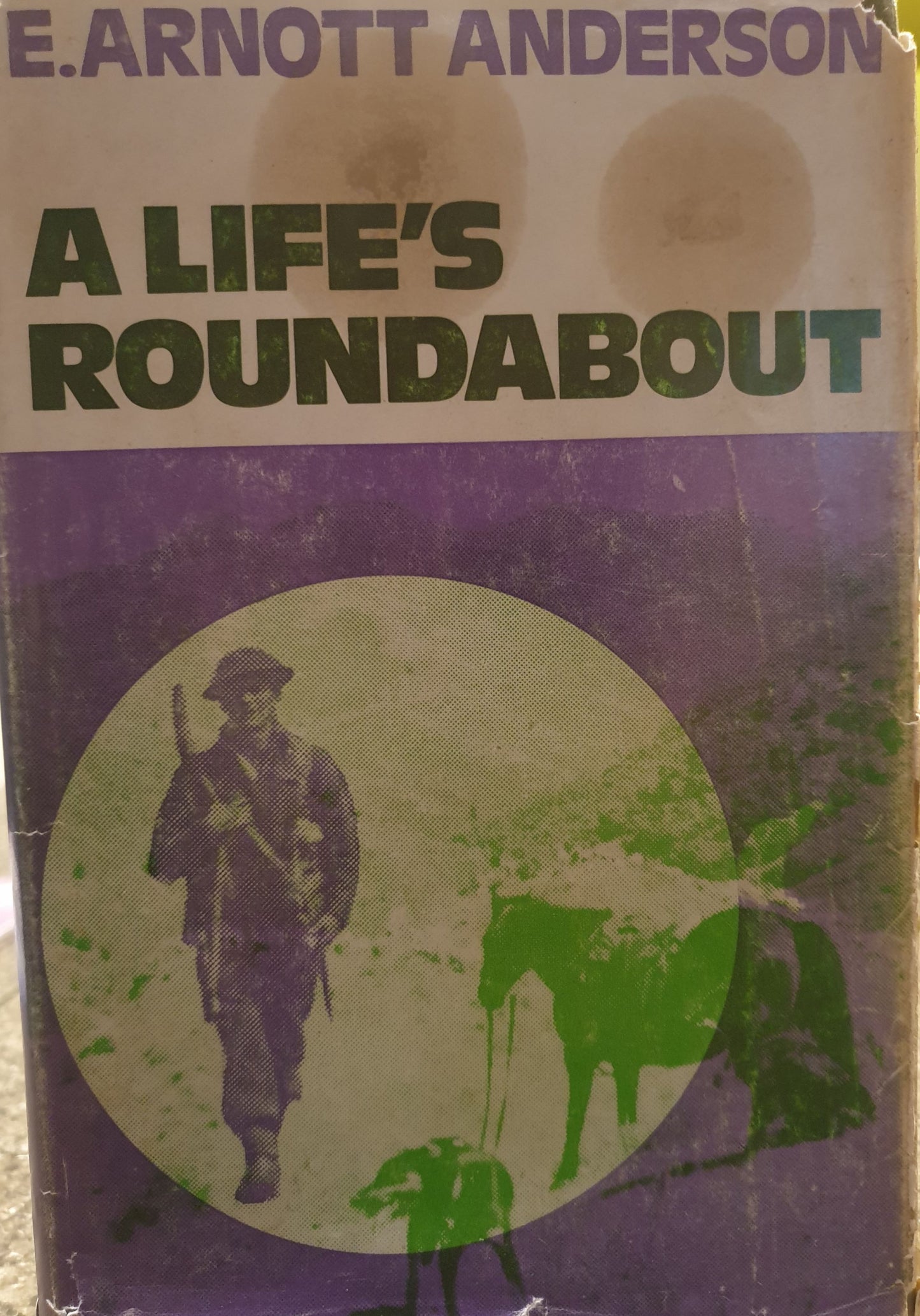 A Life's Roundabout