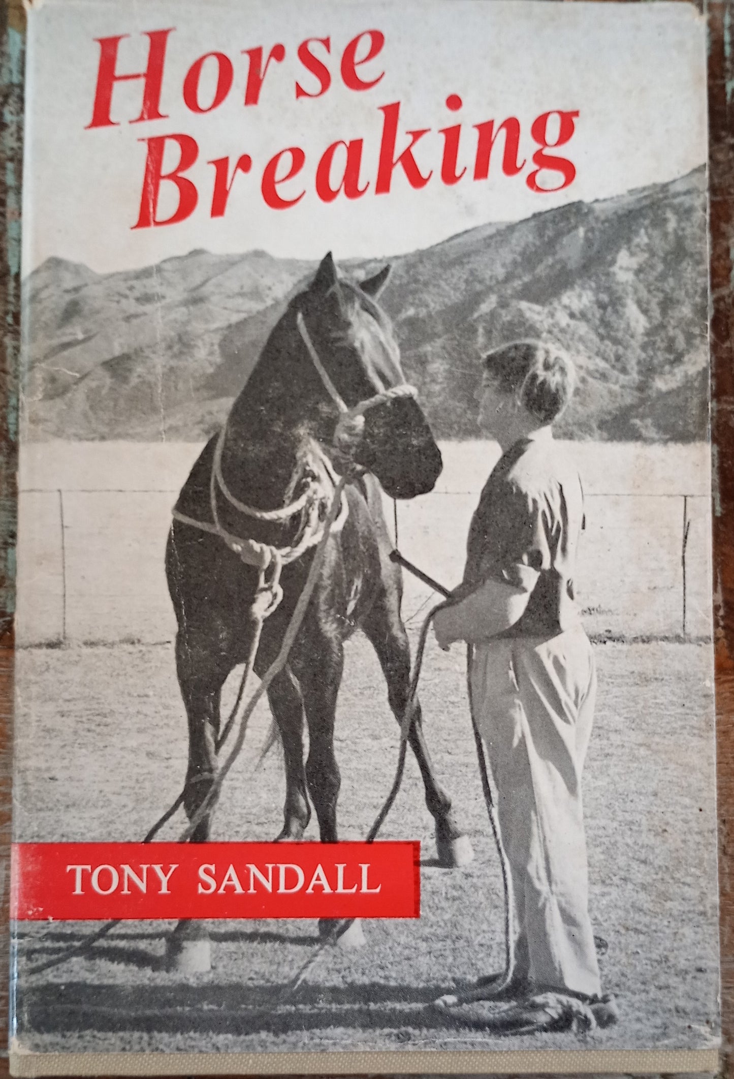 Horse Breaking