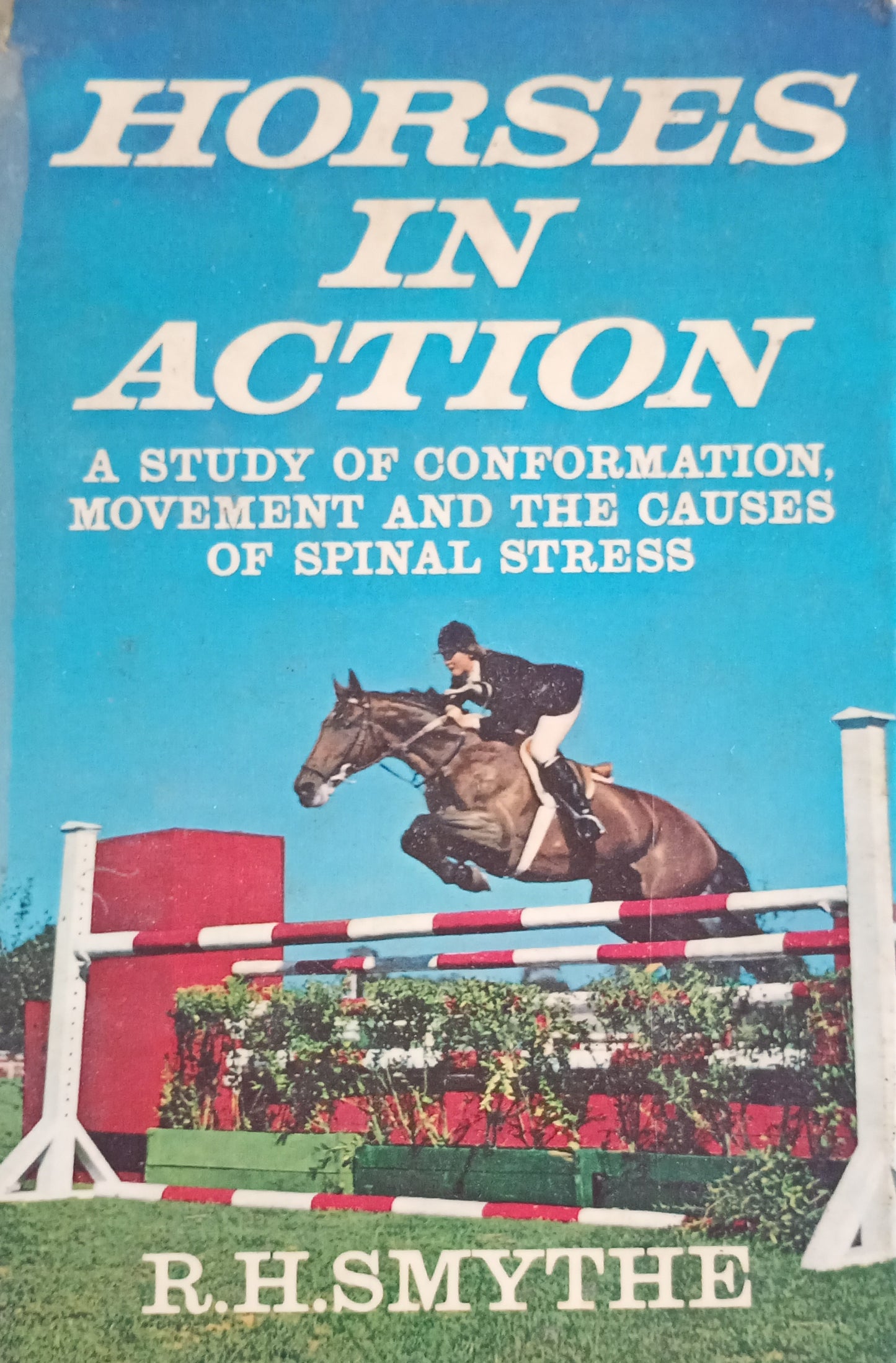 Horses in Action