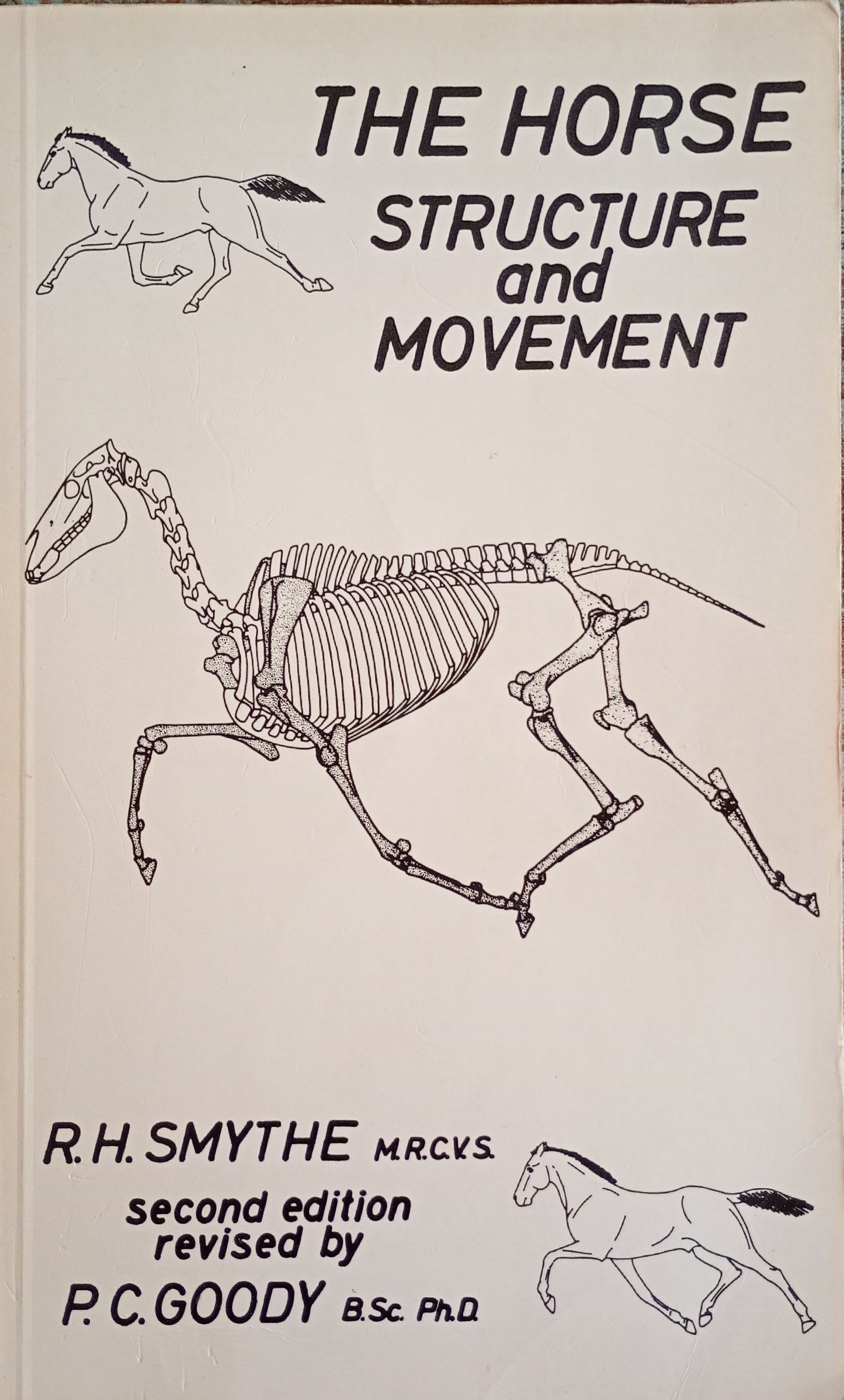 The Horse Structure and Movement