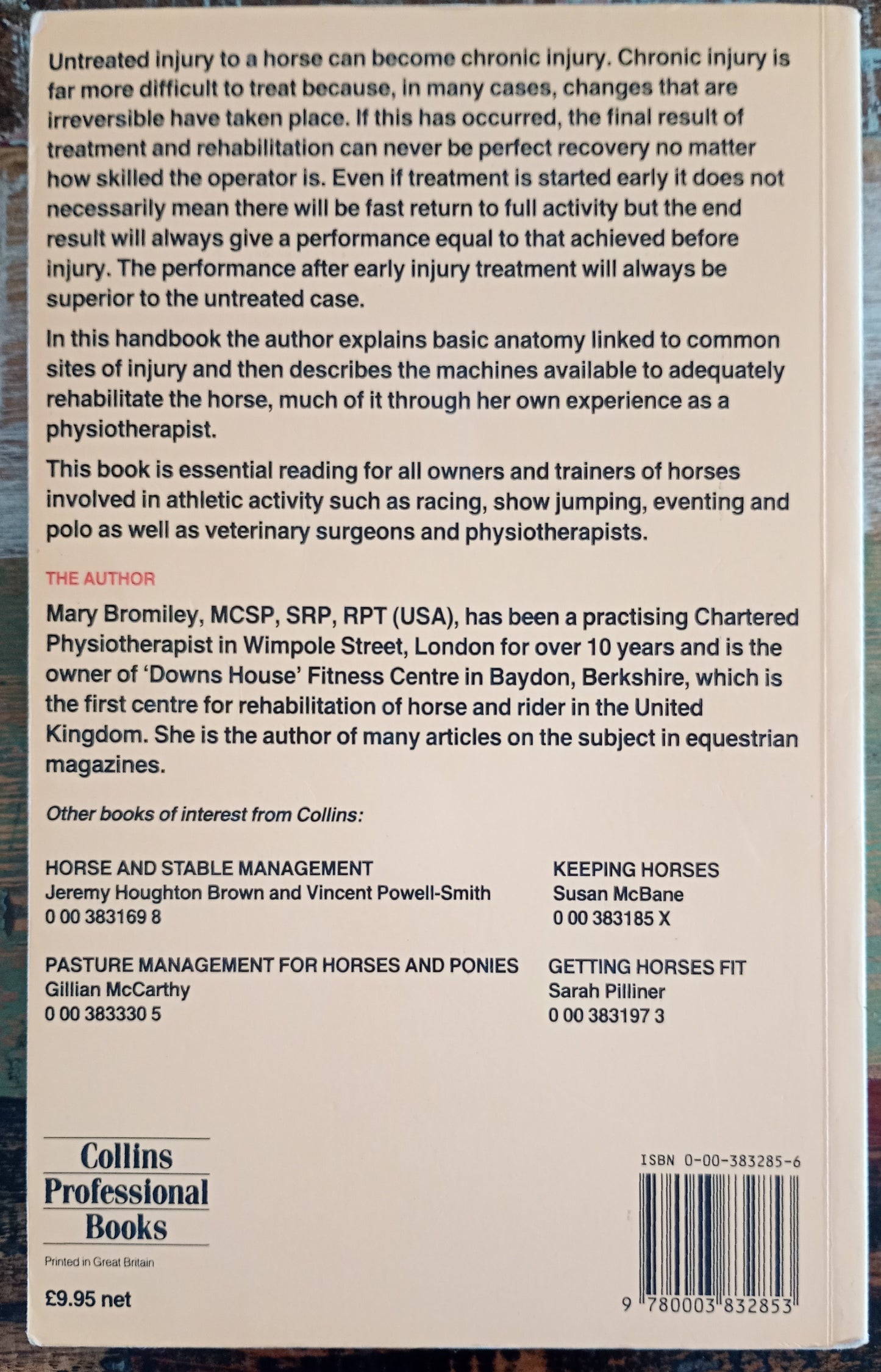 Equine Injury & Therapy
