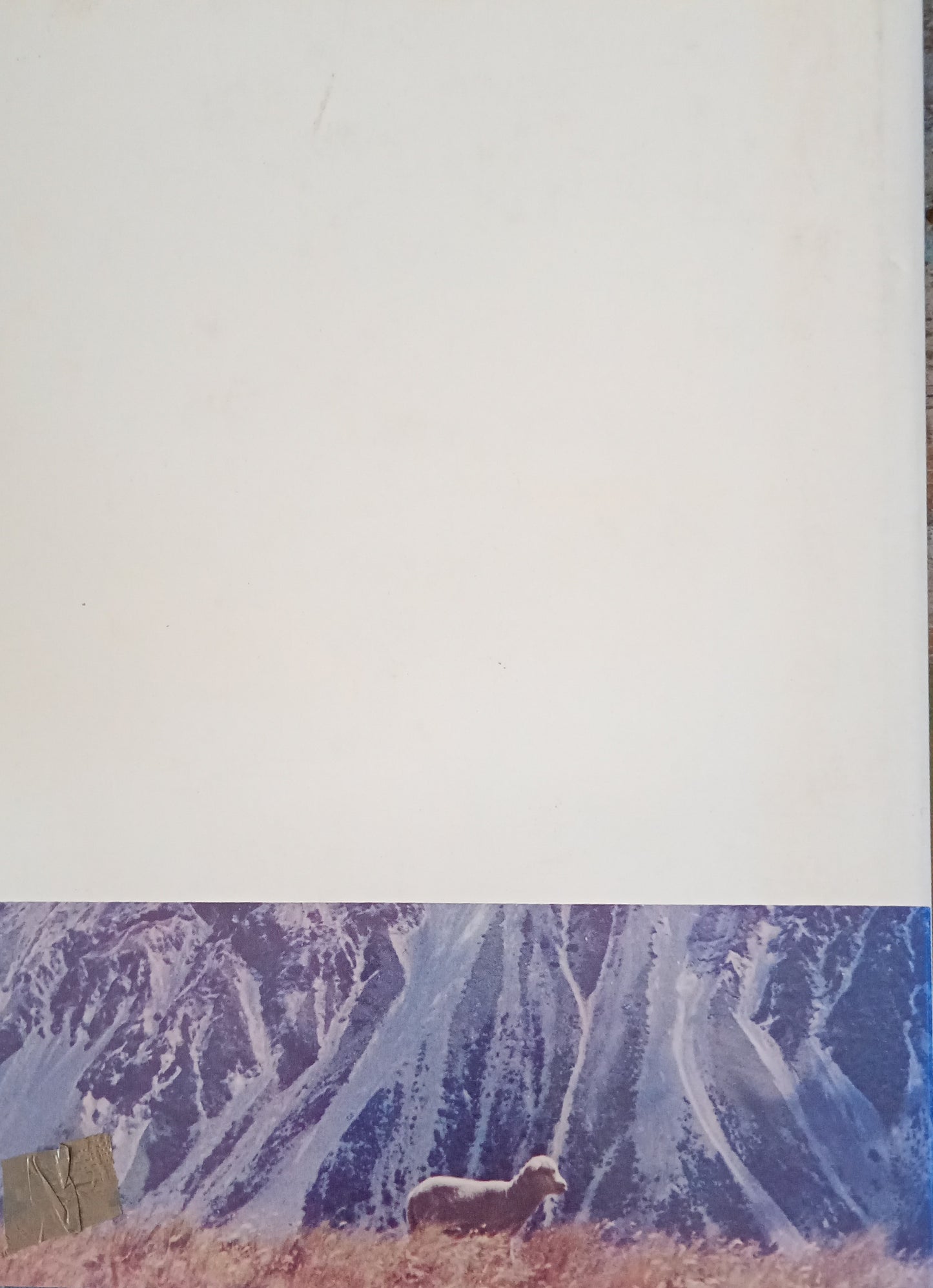 MaryLou the Story of a High Country Lamb