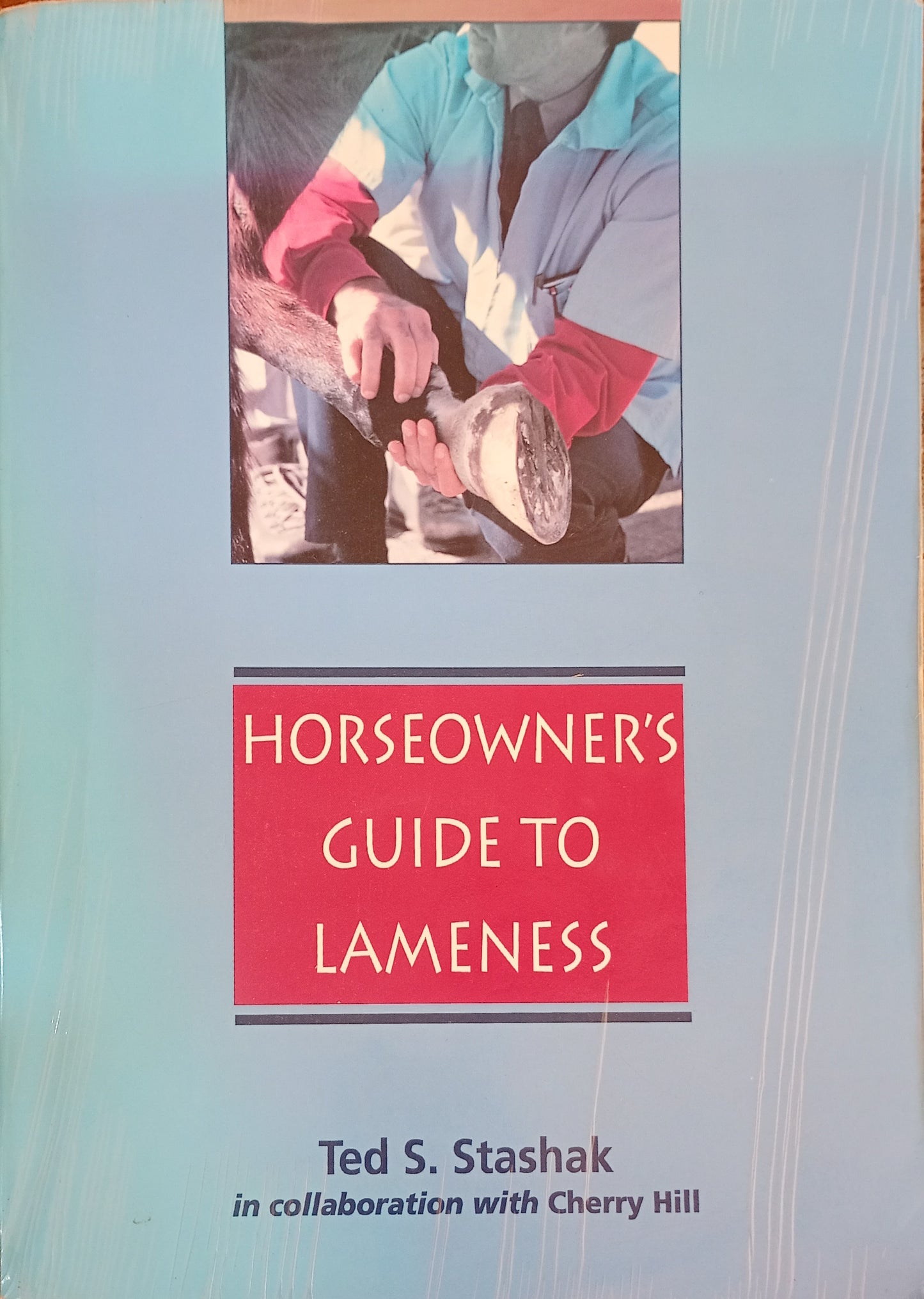 Horse Owner's Guide to Lameness