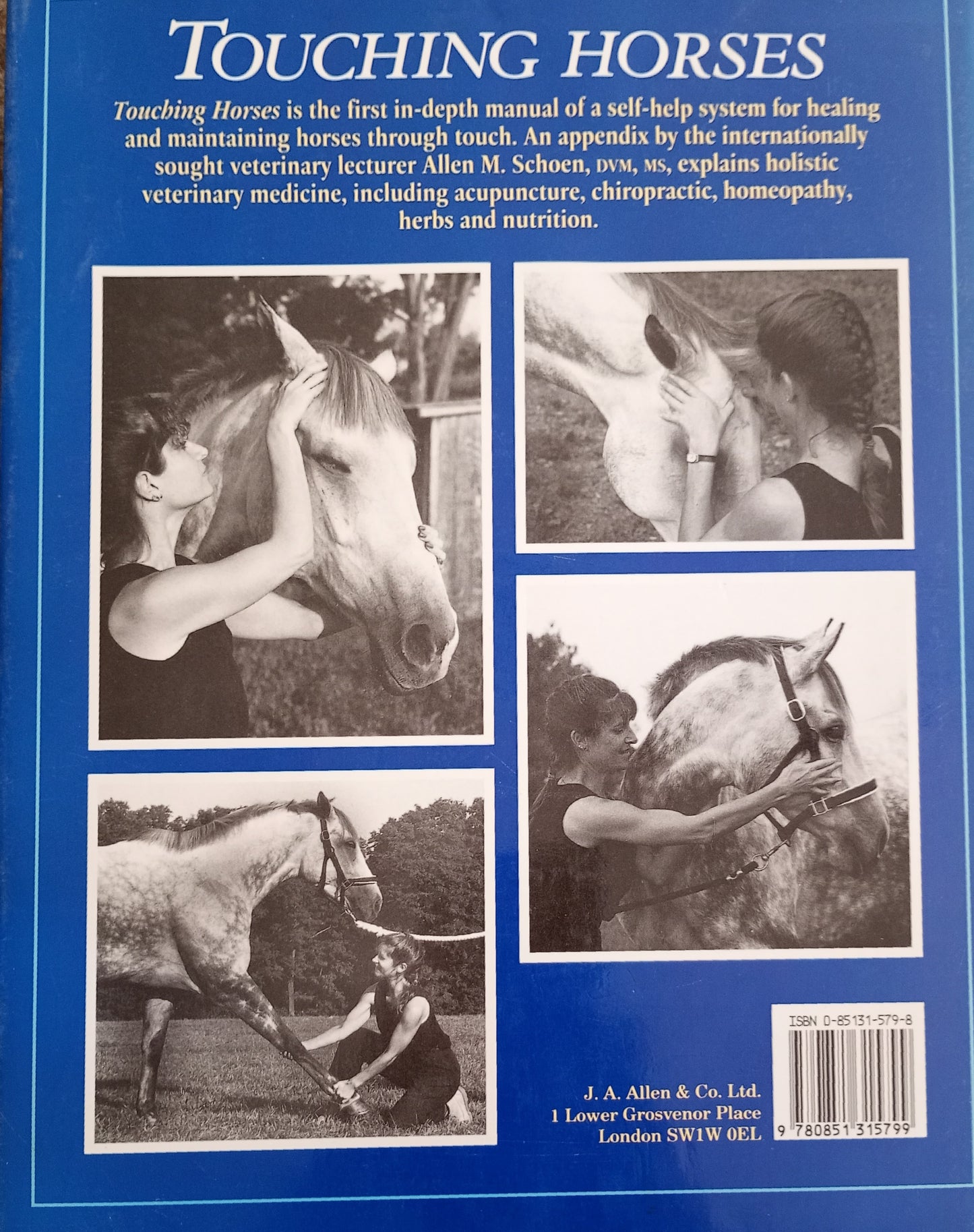 Touching Horses