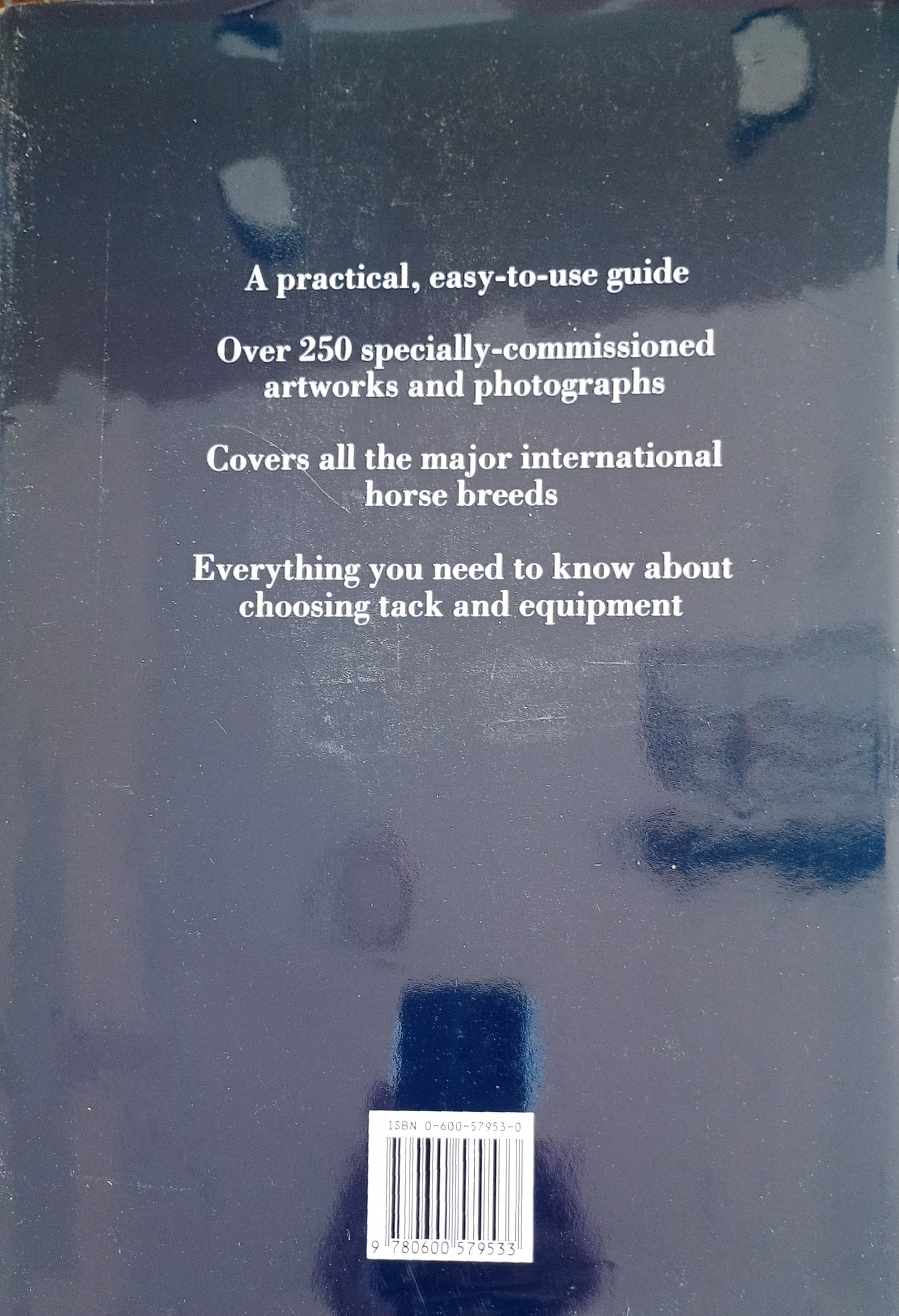 The Complete Book of Riding