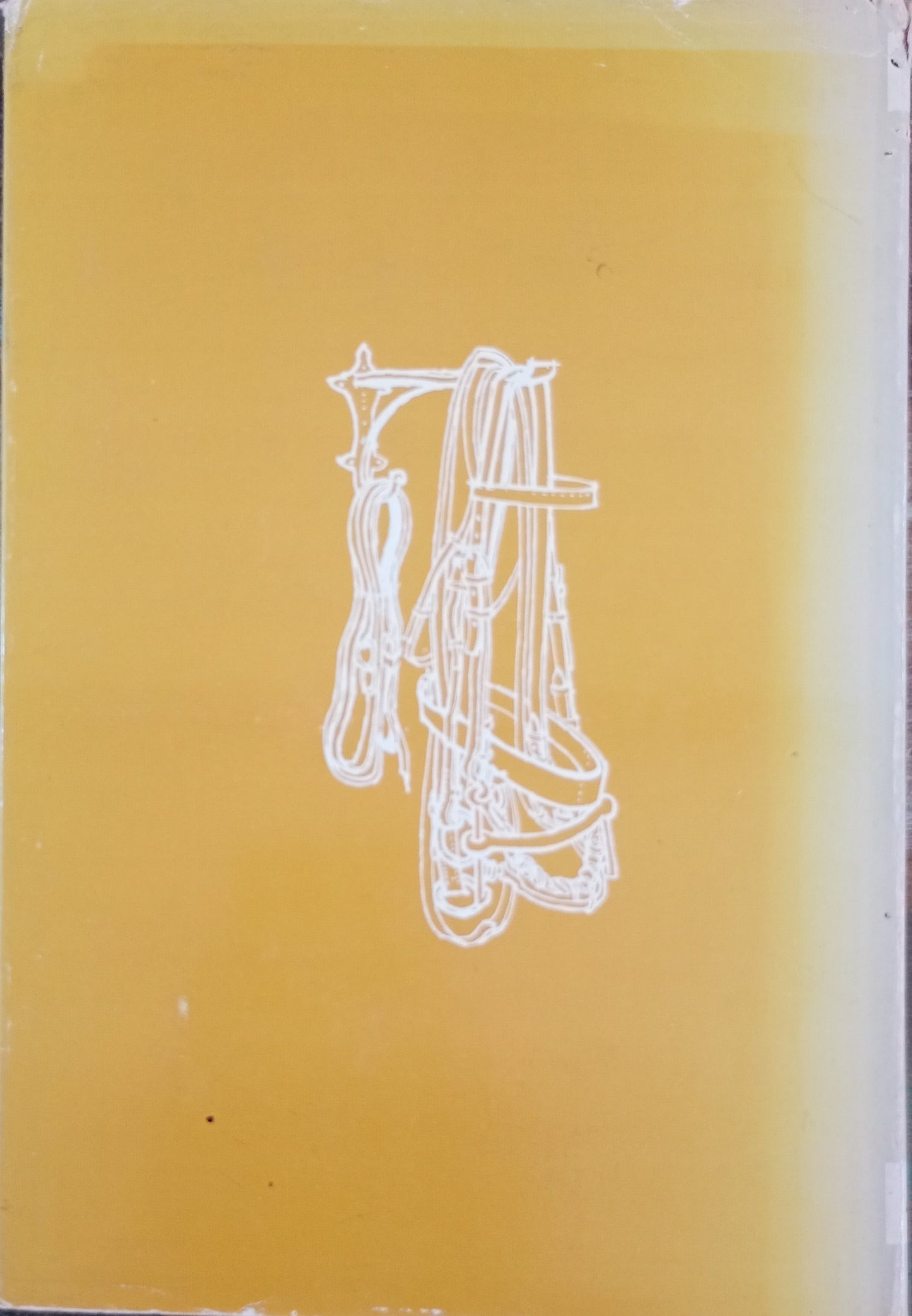 Practical Pony Keeping