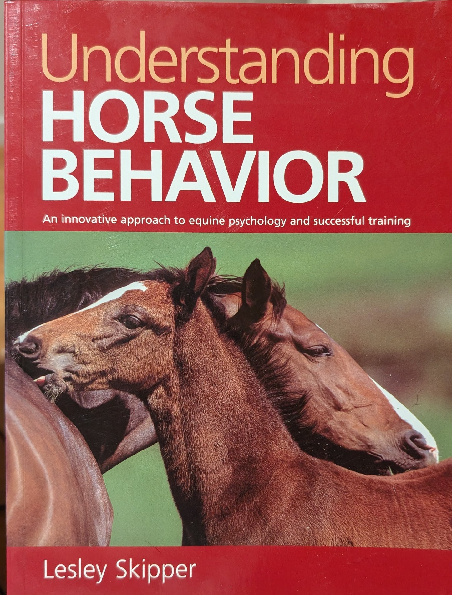 Understanding Horse Behaviour