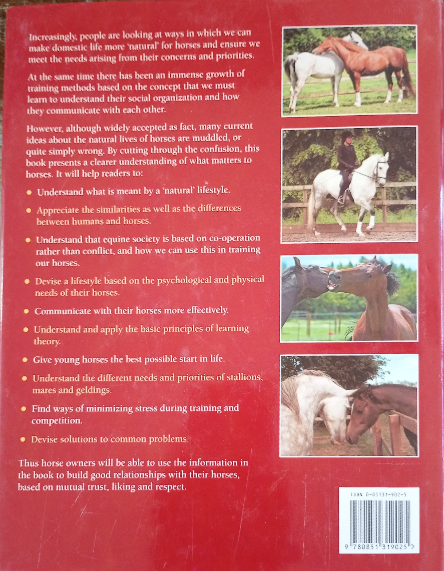 Let Horses be Horses